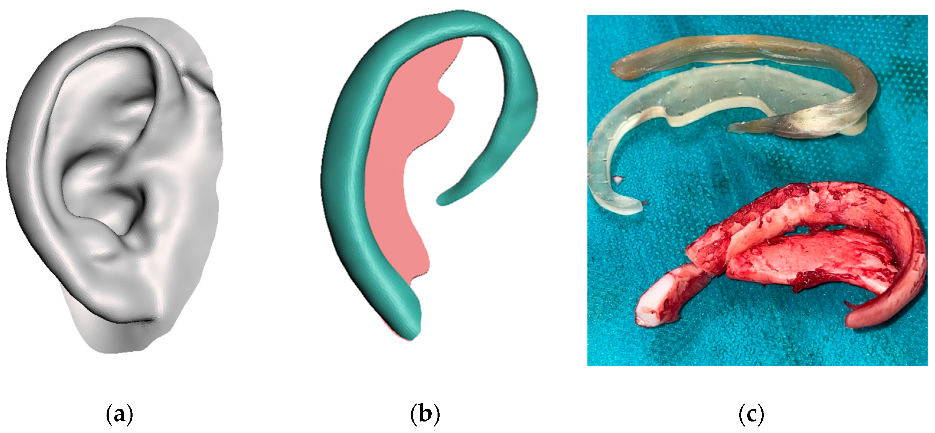 Jcm 11 03591 g009 Jcm 11 03591 g009