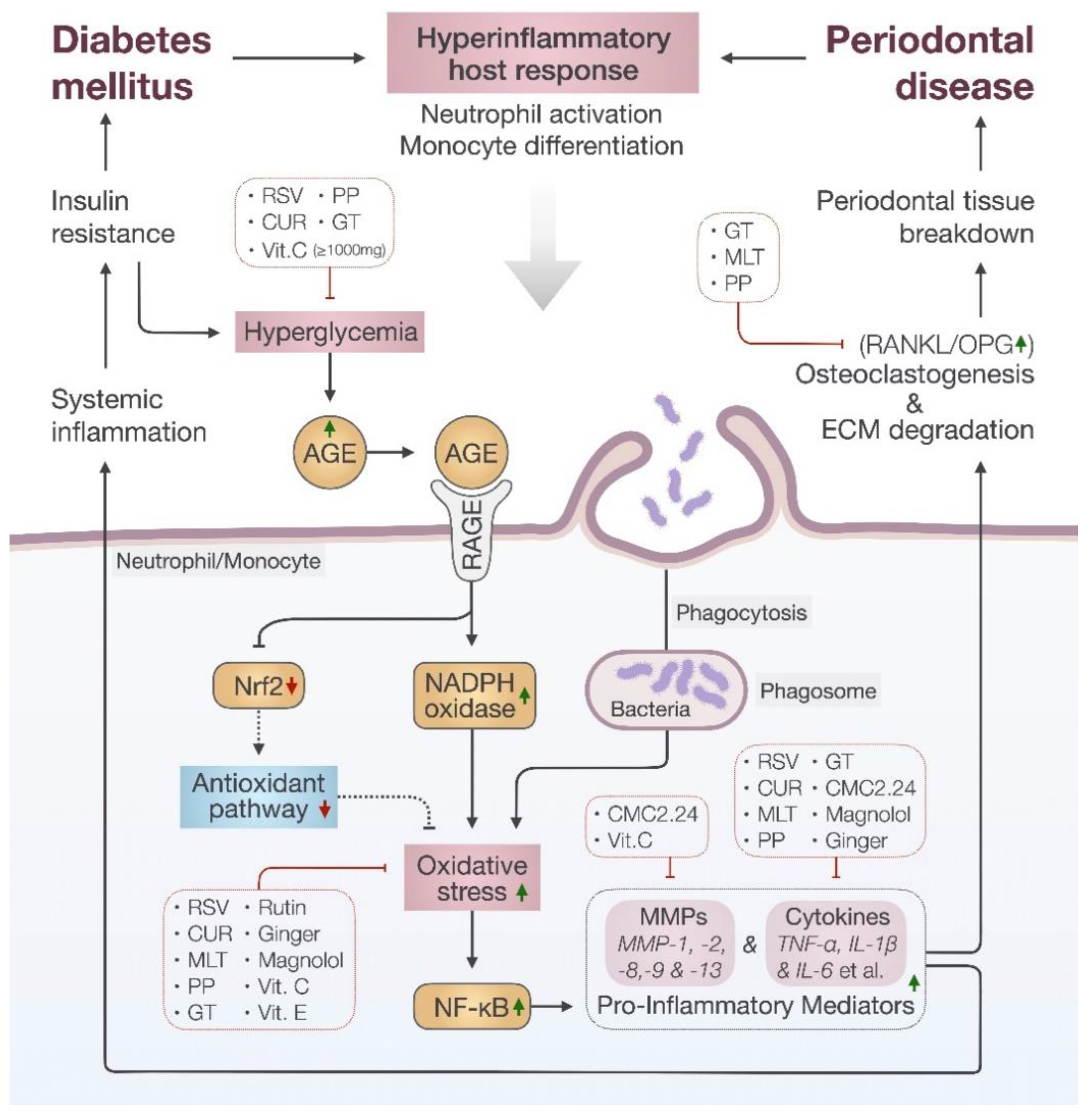 Jcm 11 03614 g002 Jcm 11 03614 g002