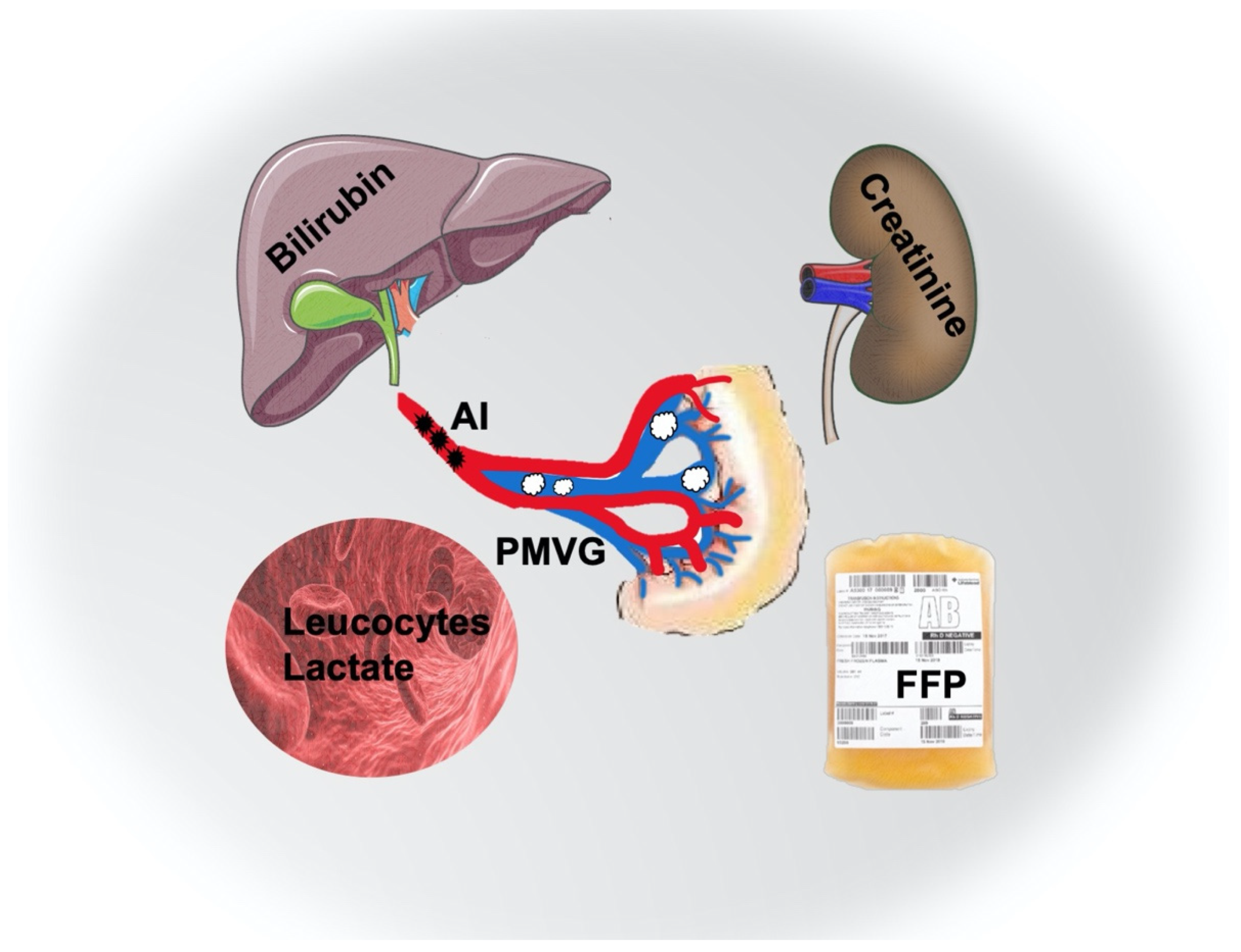 Jcm 11 03619 g001 550