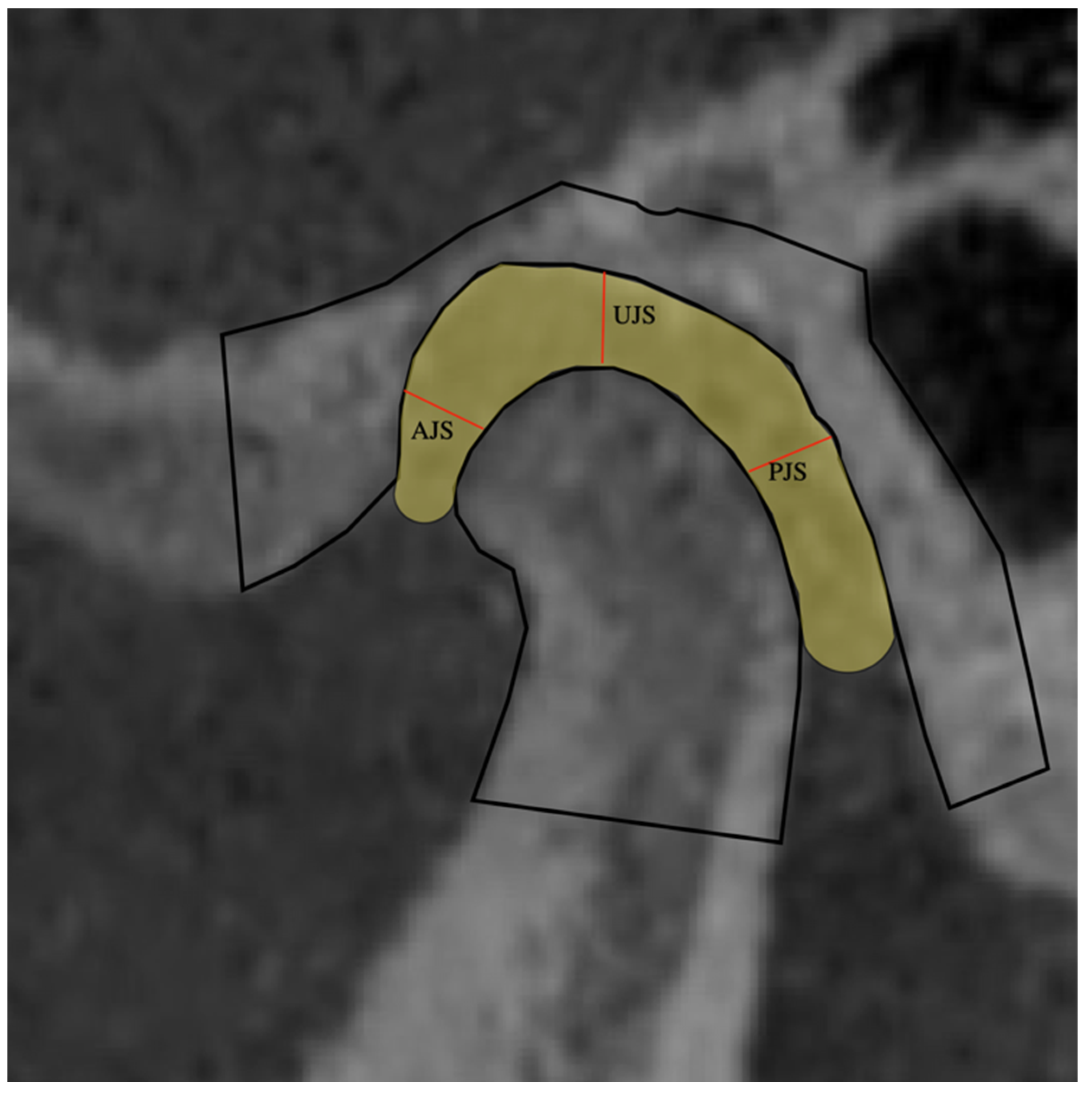 Jcm 11 03631 g003 Jcm 11 03631 g003