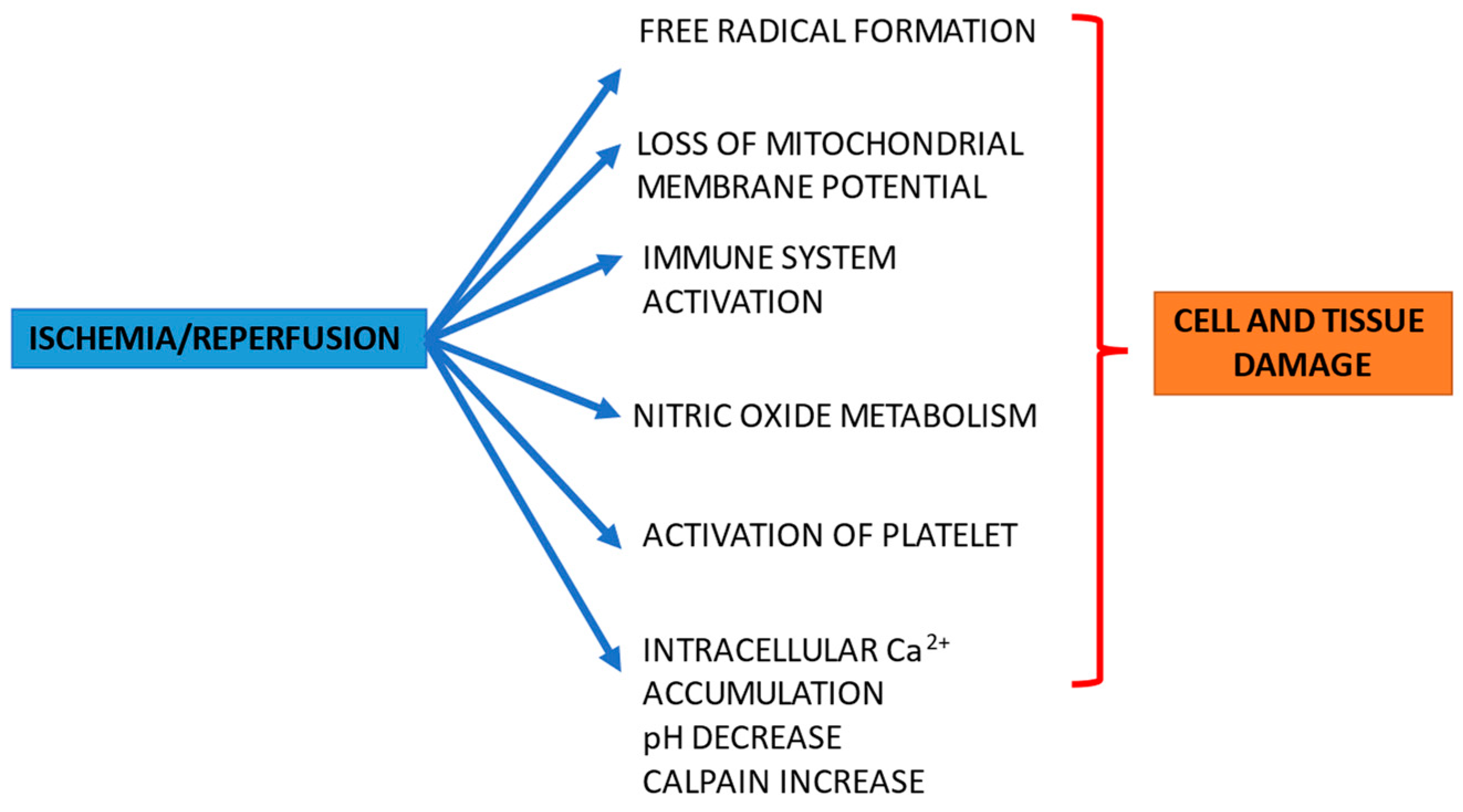 Jcm 11 03638 g001 Jcm 11 03638 g001