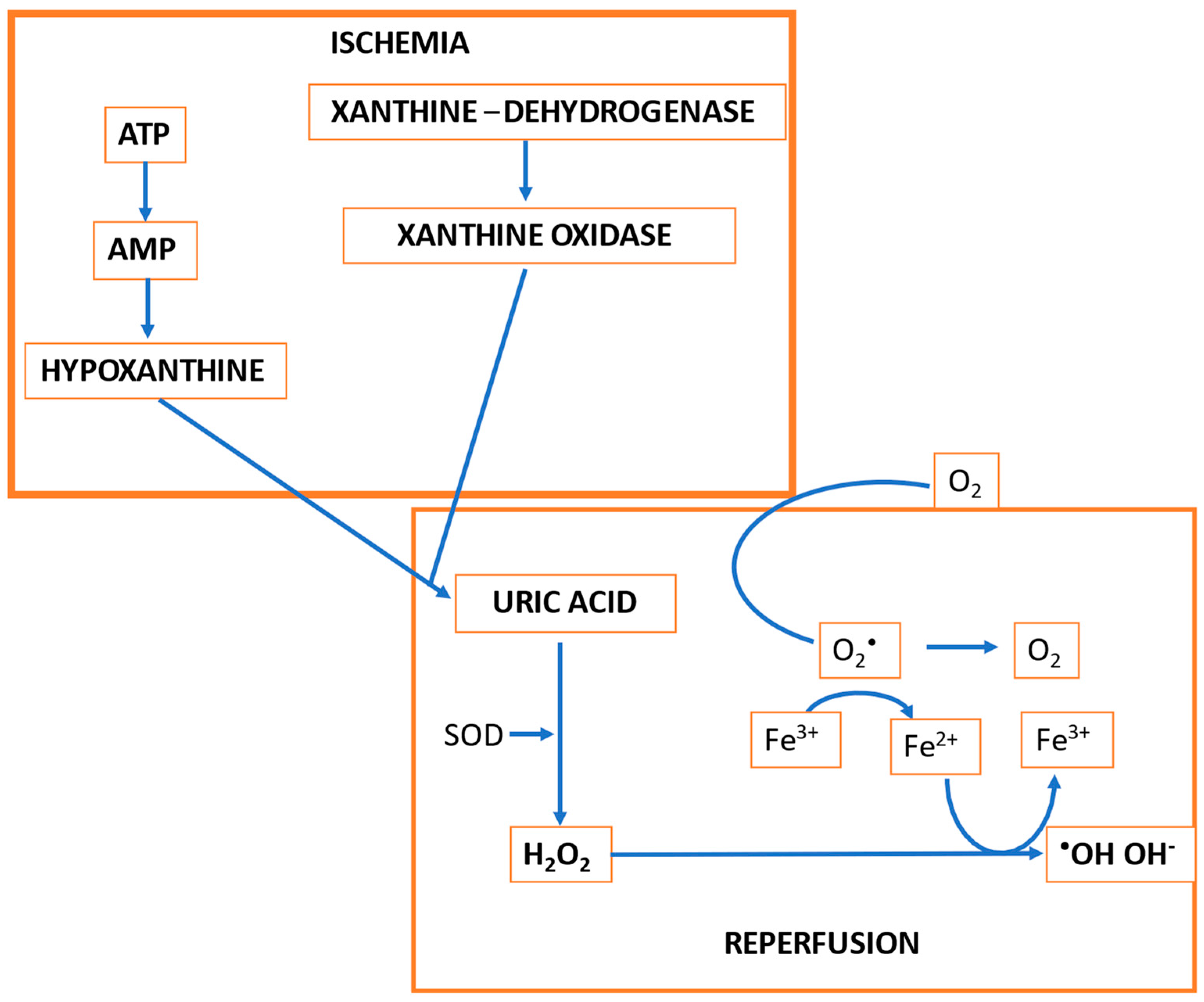 Jcm 11 03638 g002 Jcm 11 03638 g002