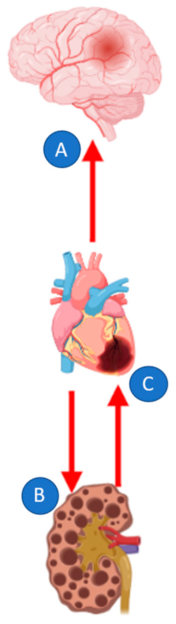 Jcm 11 03638 g003 Jcm 11 03638 g003