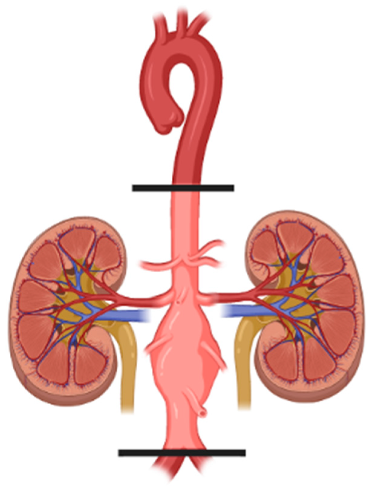 Jcm 11 03638 g004 Jcm 11 03638 g004