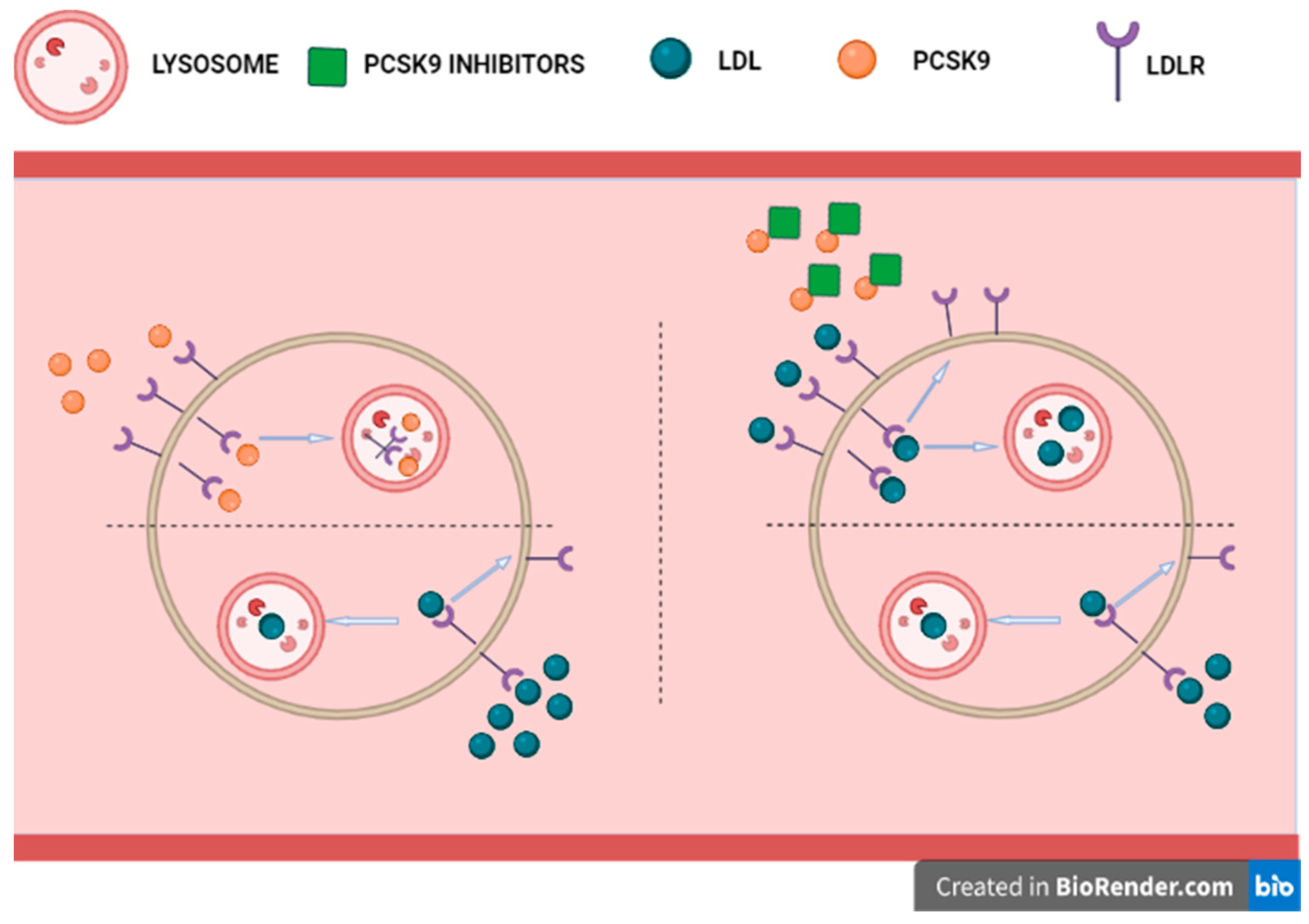 Jcm 11 03638 g005 Jcm 11 03638 g005