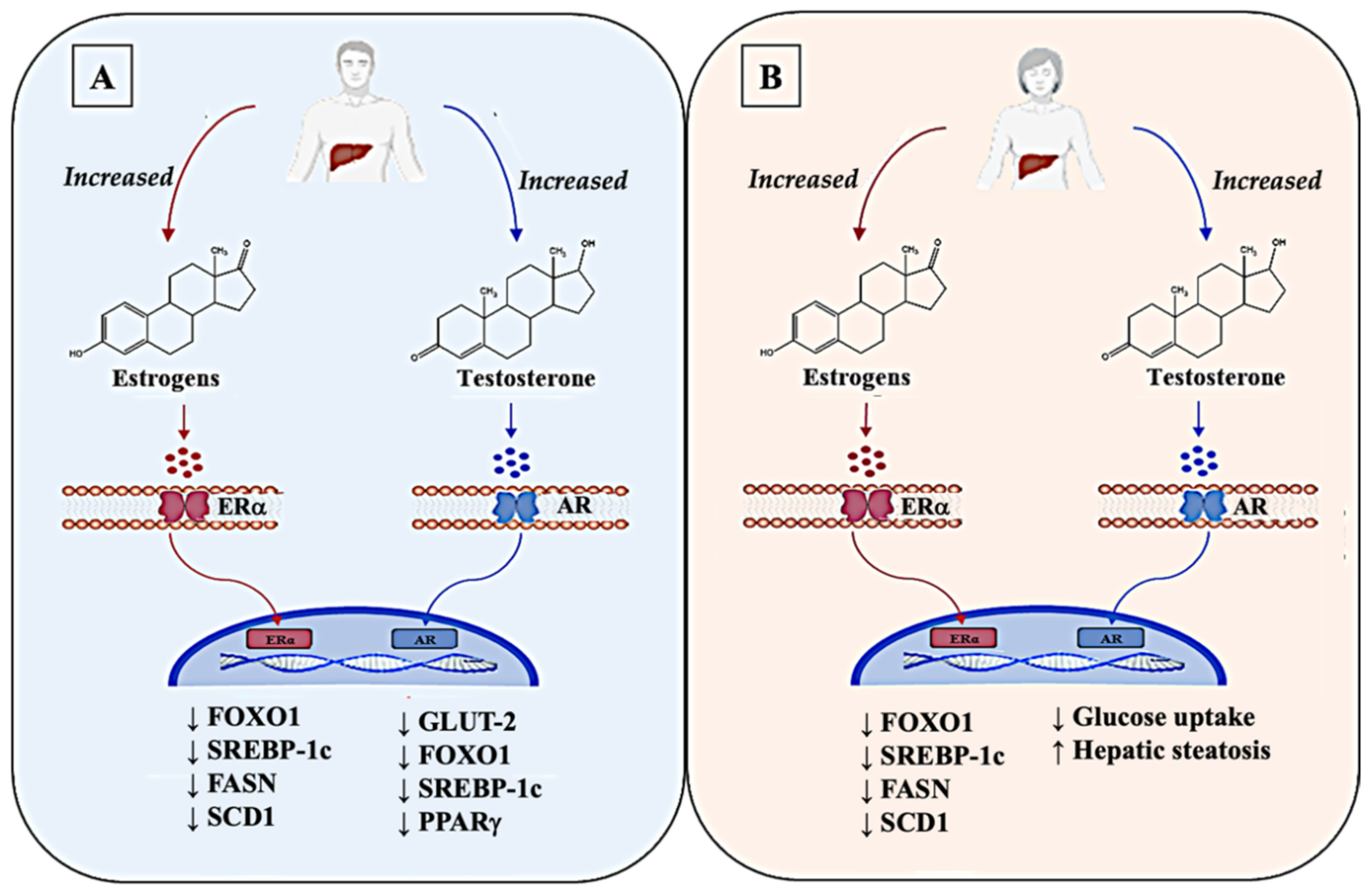 Jcm 11 03649 g002 Jcm 11 03649 g002