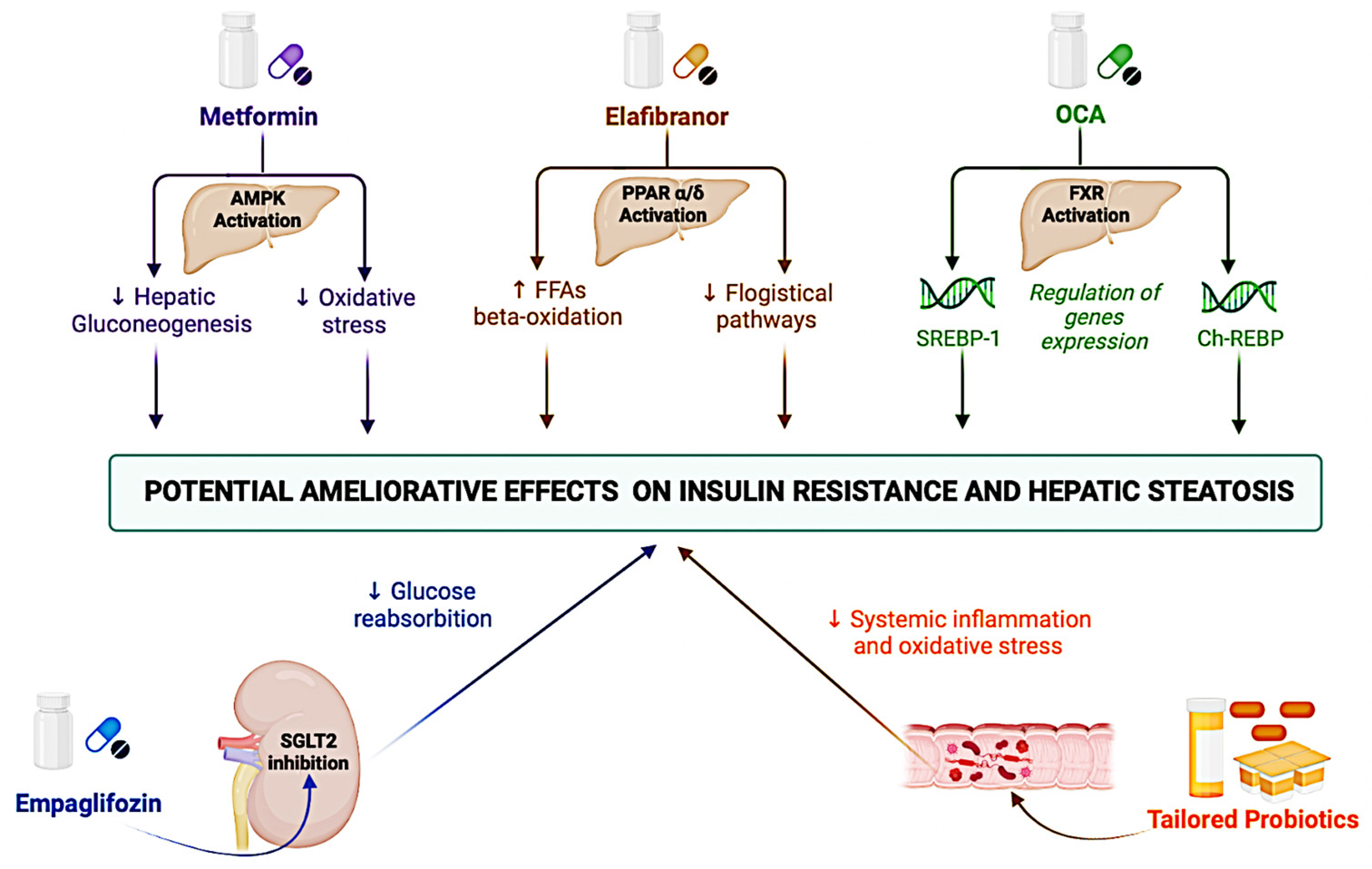 Jcm 11 03649 g003 Jcm 11 03649 g003