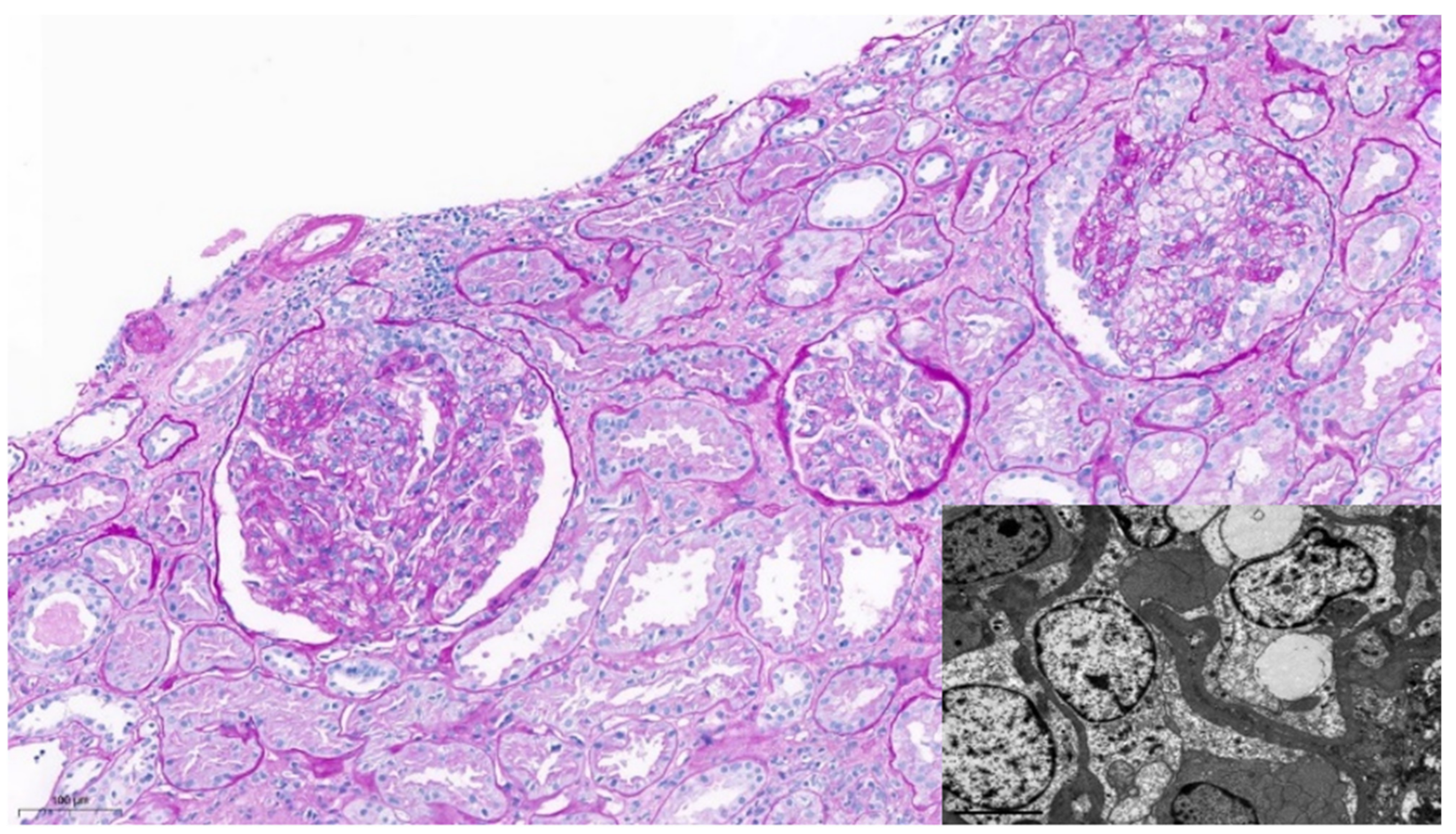 Jcm 11 03651 g001 550