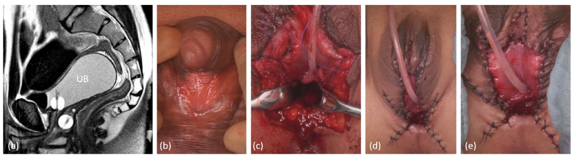 Jcm 11 03688 g006 Jcm 11 03688 g006