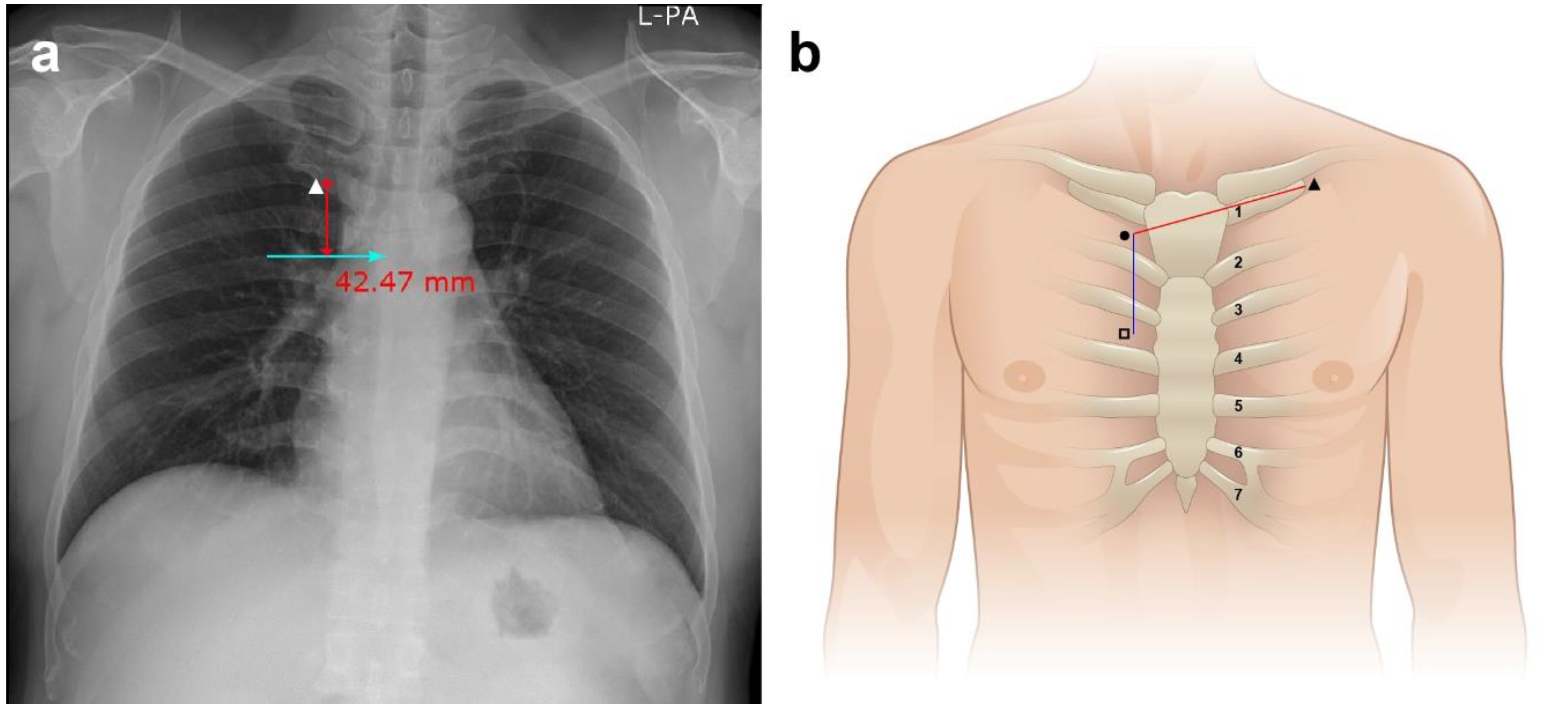 Jcm 11 03692 g001 Jcm 11 03692 g001