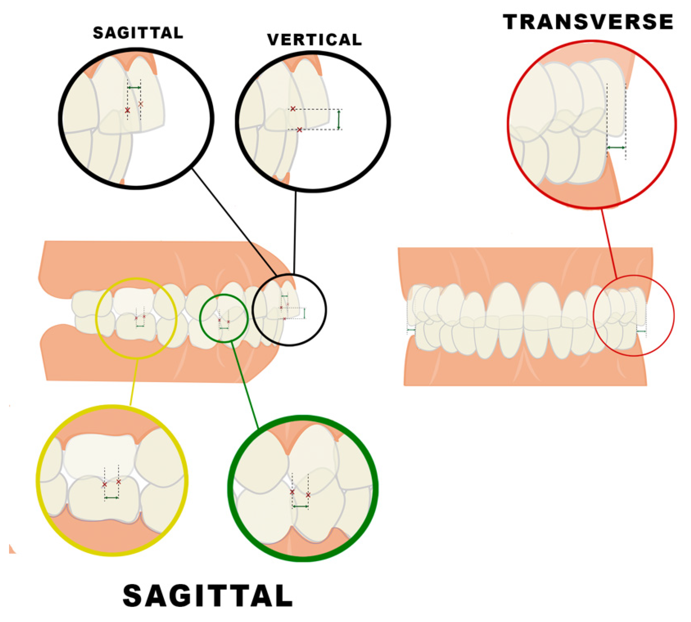 Jcm 11 03711 g002 Jcm 11 03711 g002