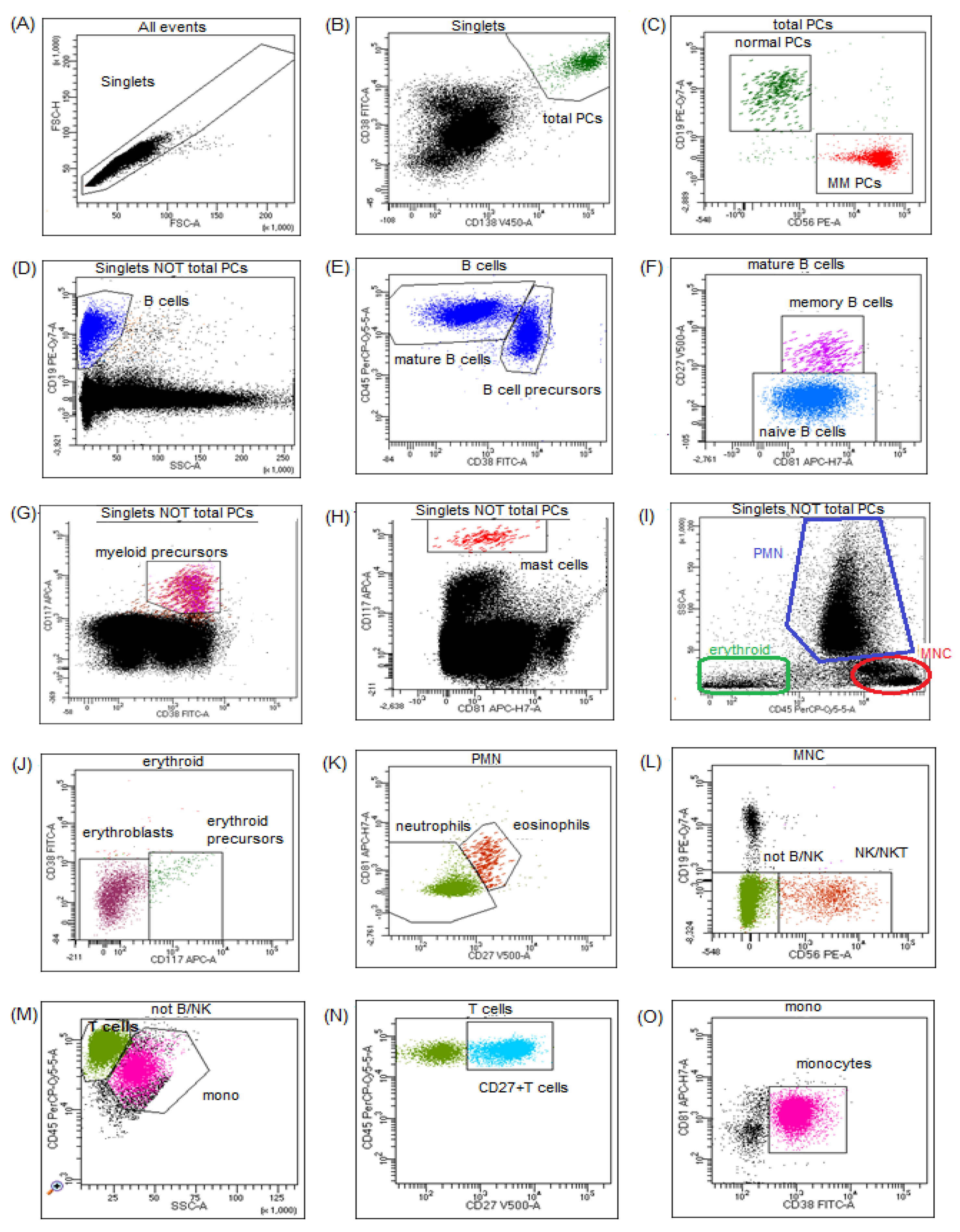 Jcm 11 03722 g001 Jcm 11 03722 g001