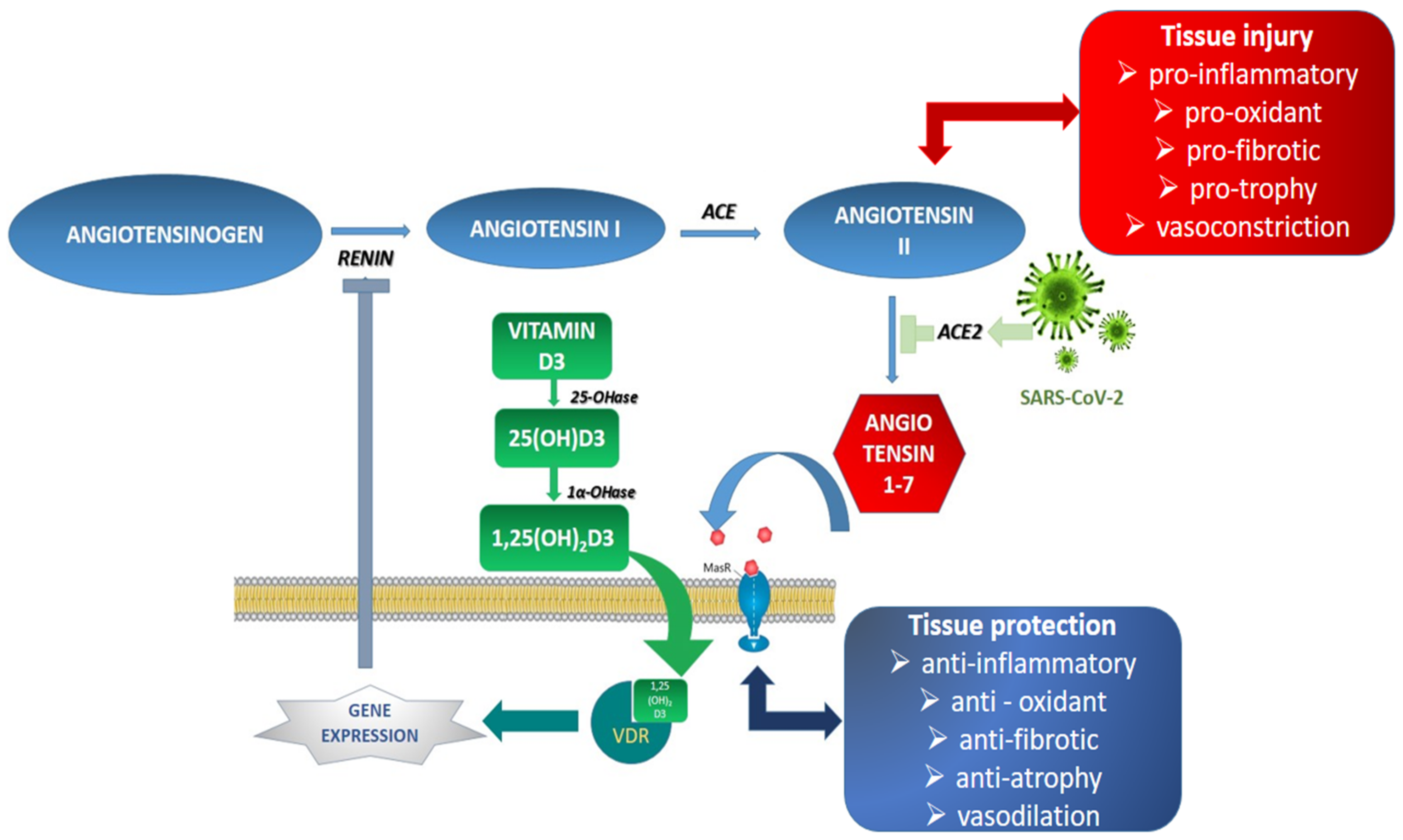 Jcm 11 03844 g003 Jcm 11 03844 g003