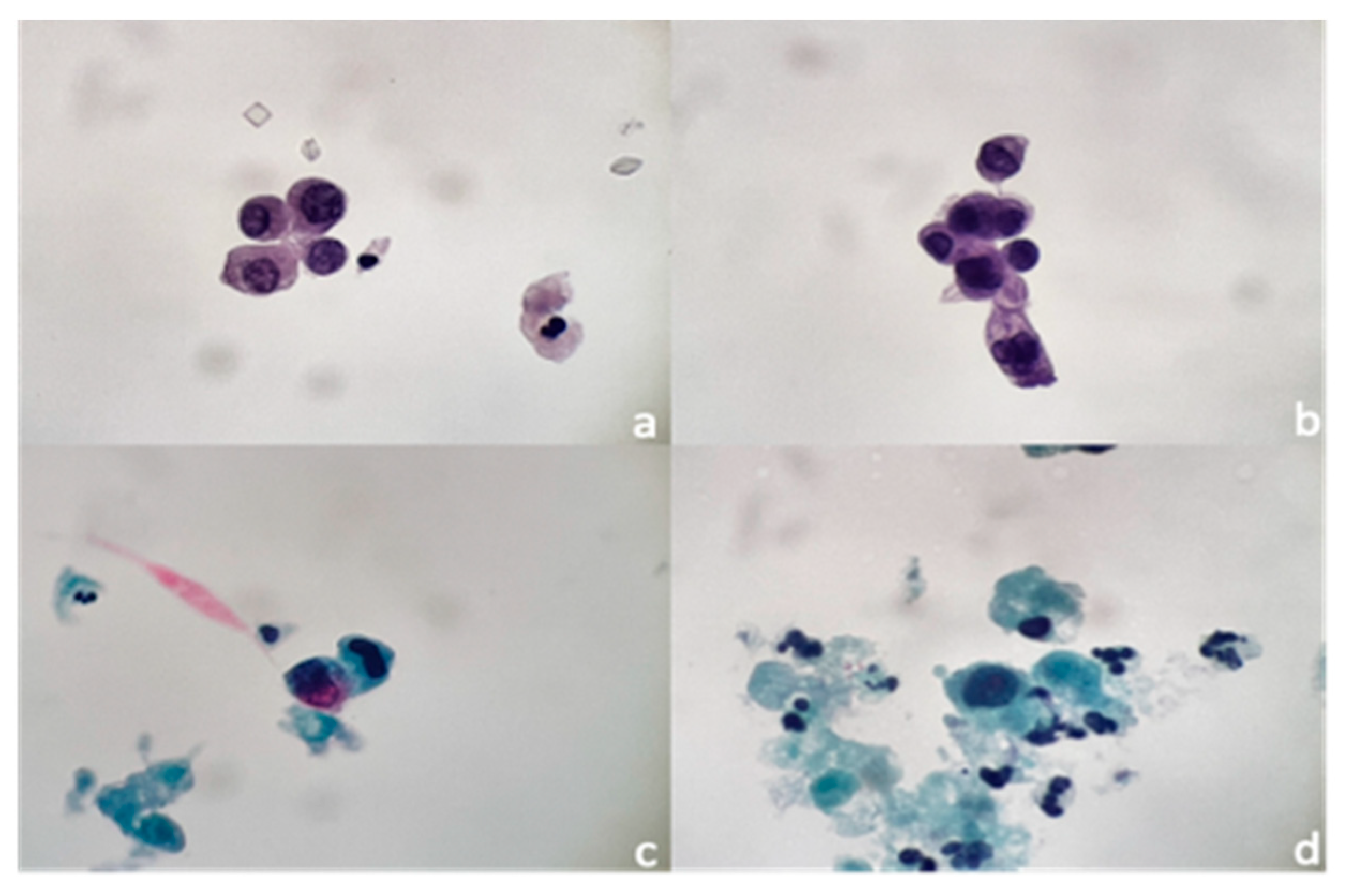 Jcm 11 03855 g002 550