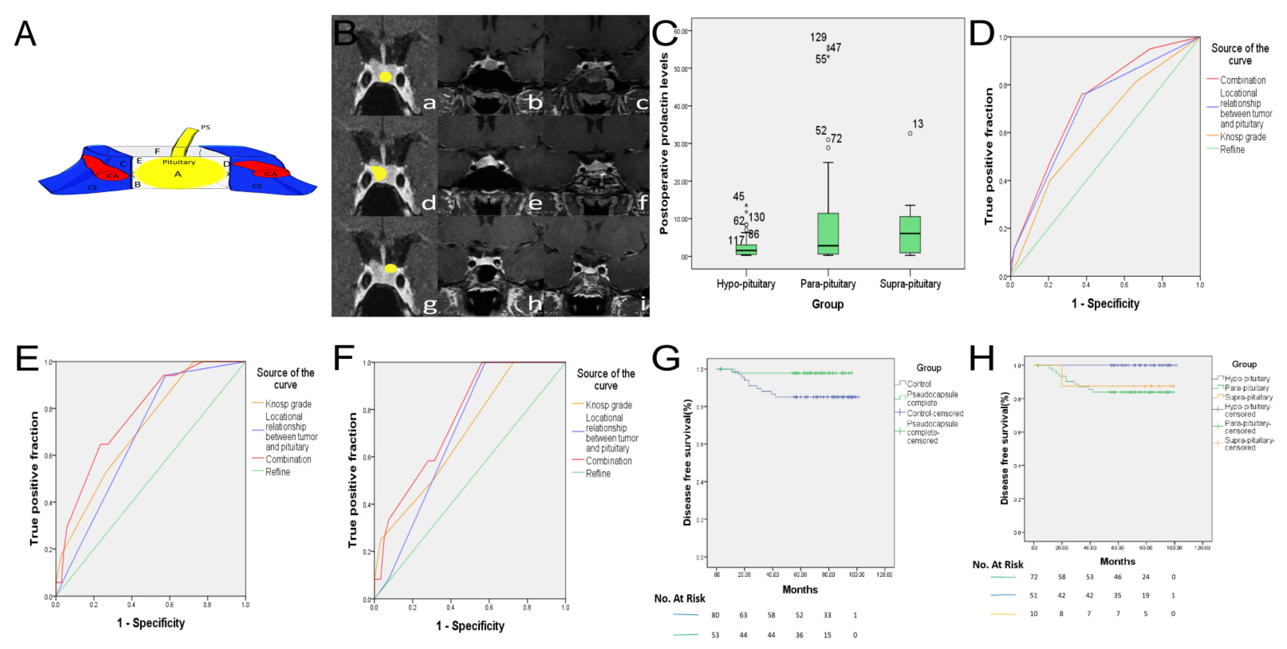 Jcm 11 03920 g002 Jcm 11 03920 g002