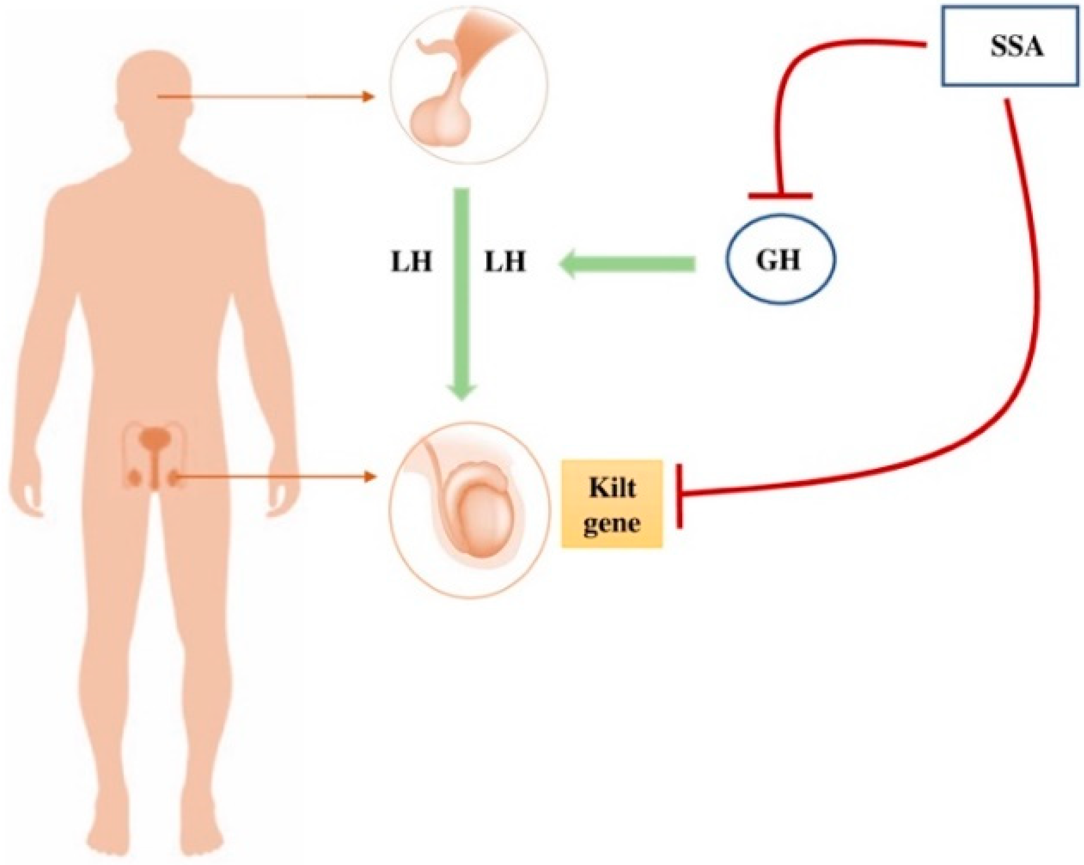 Jcm 11 03983 g001 Jcm 11 03983 g001