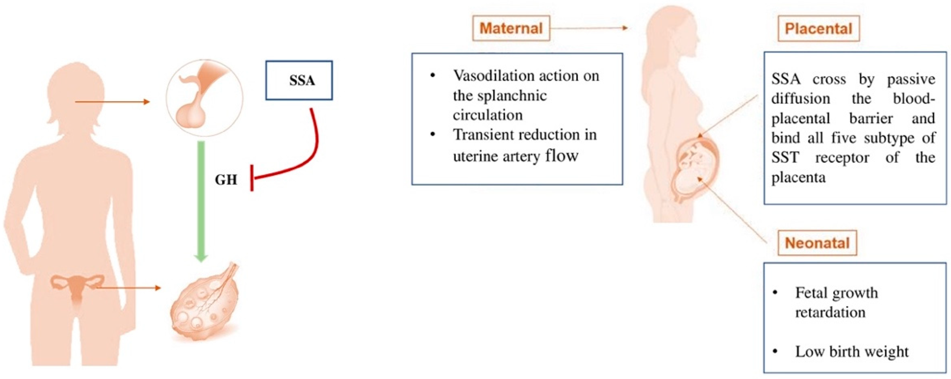 Jcm 11 03983 g002 Jcm 11 03983 g002