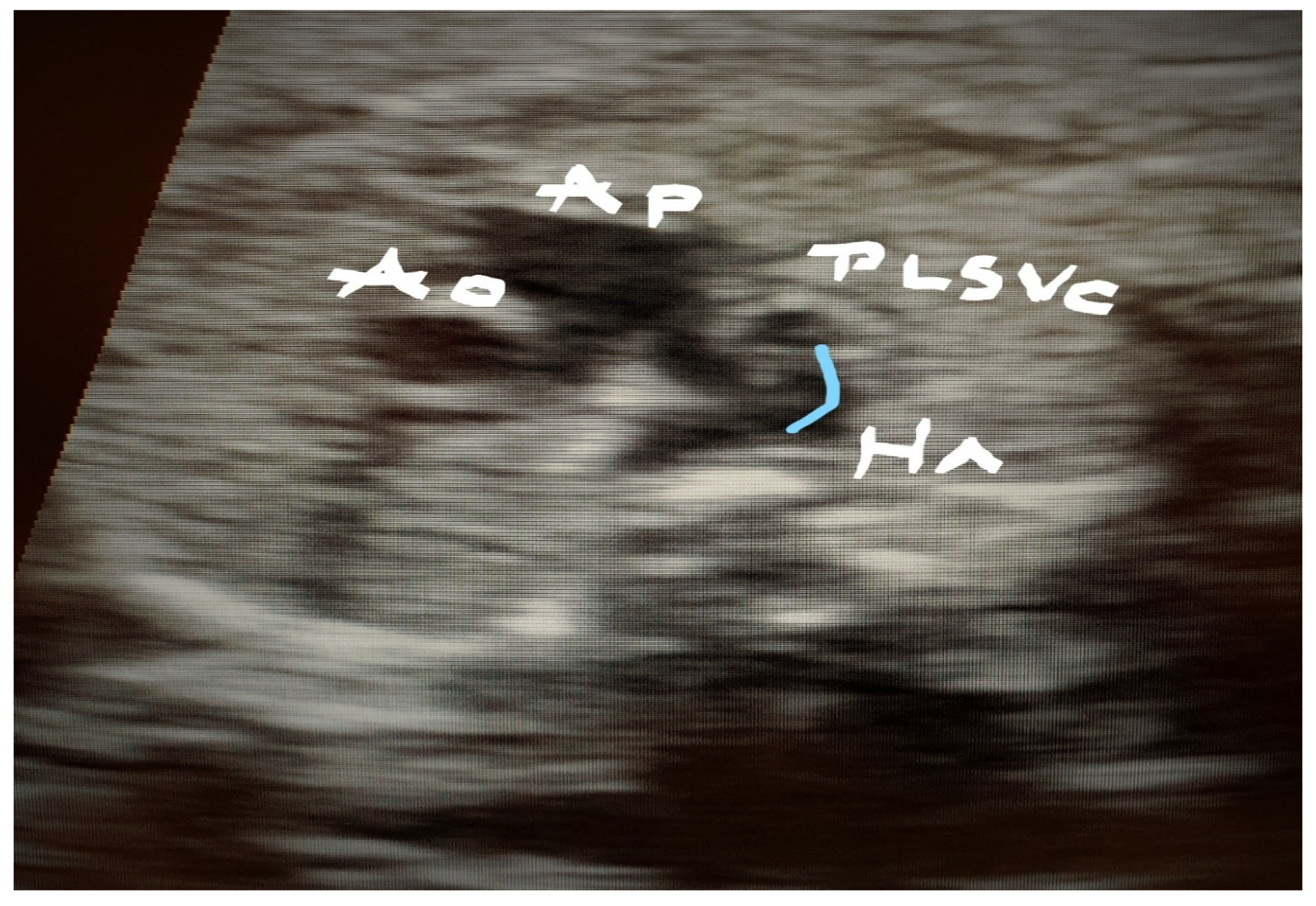 Jcm 11 04020 g012 Jcm 11 04020 g012