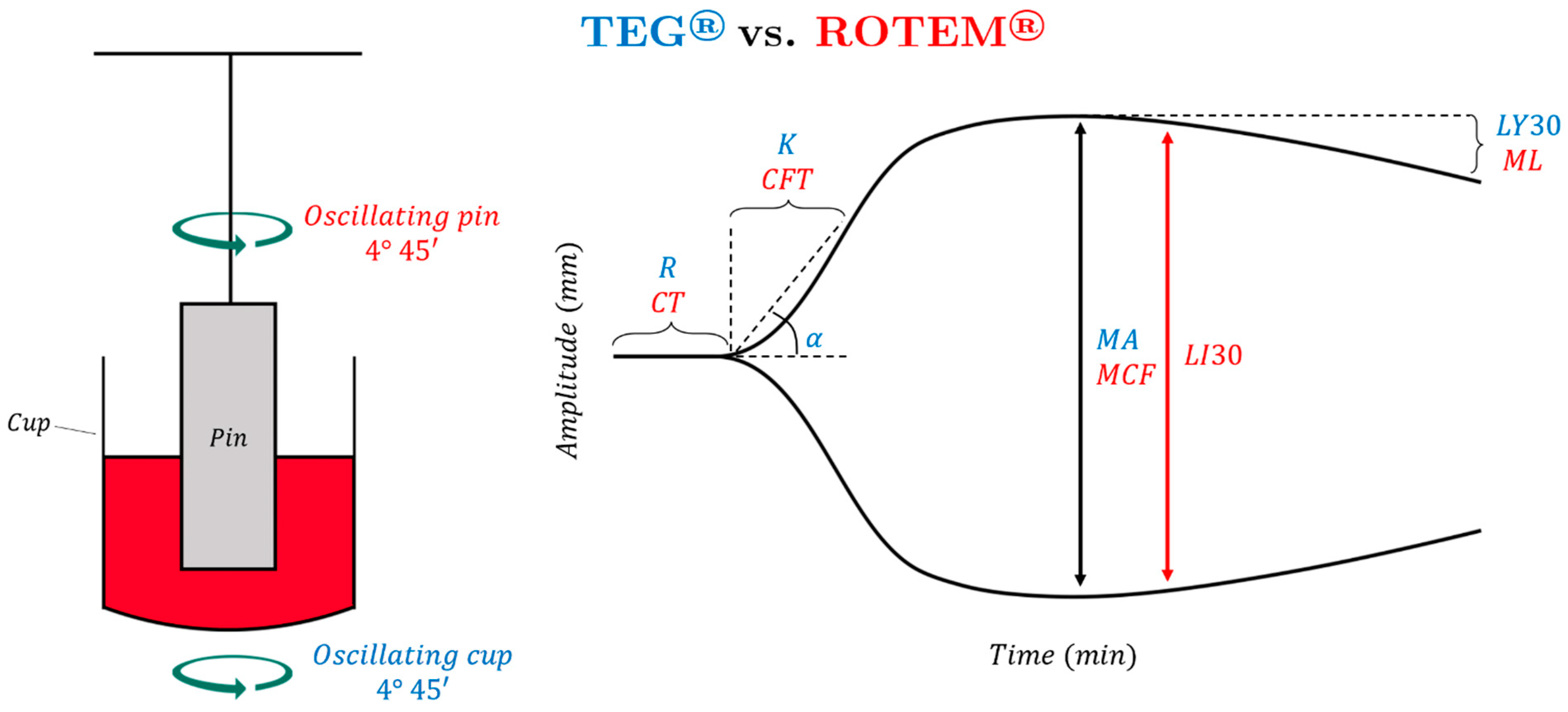 Jcm 11 04029 g001 Jcm 11 04029 g001