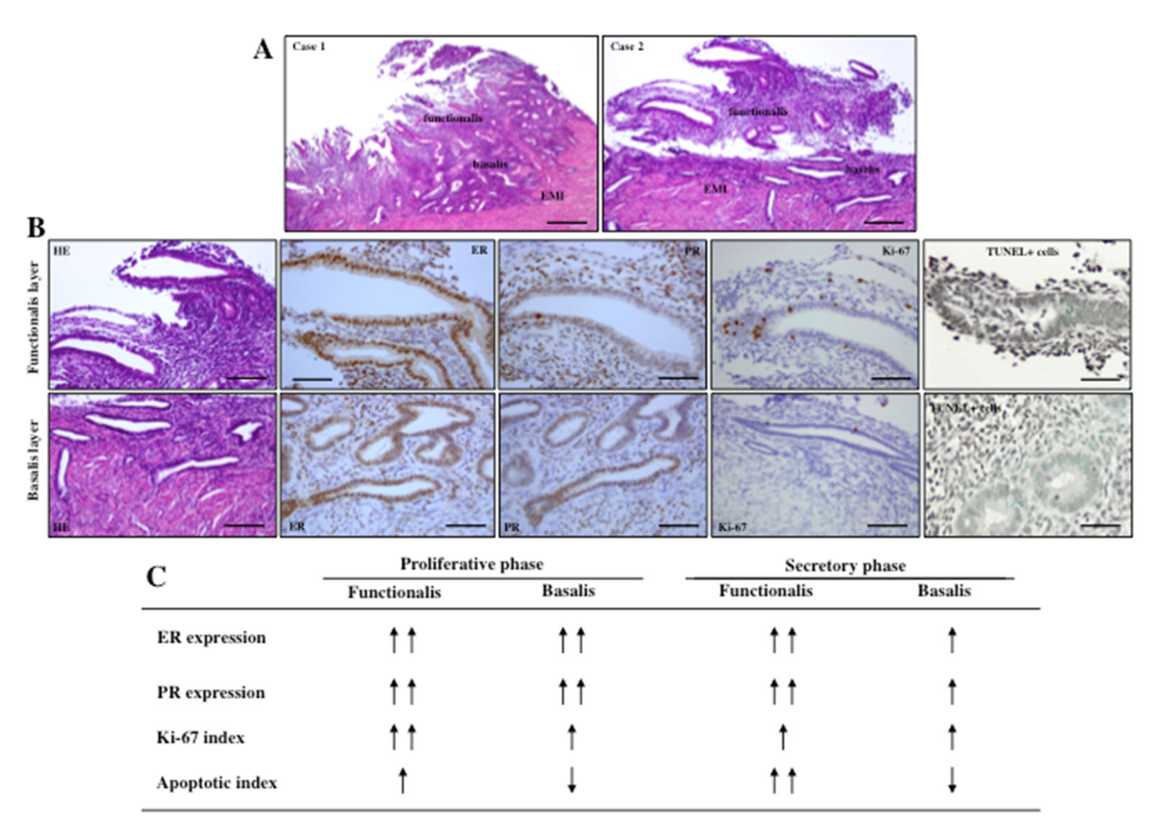 Jcm 11 04057 g001 550