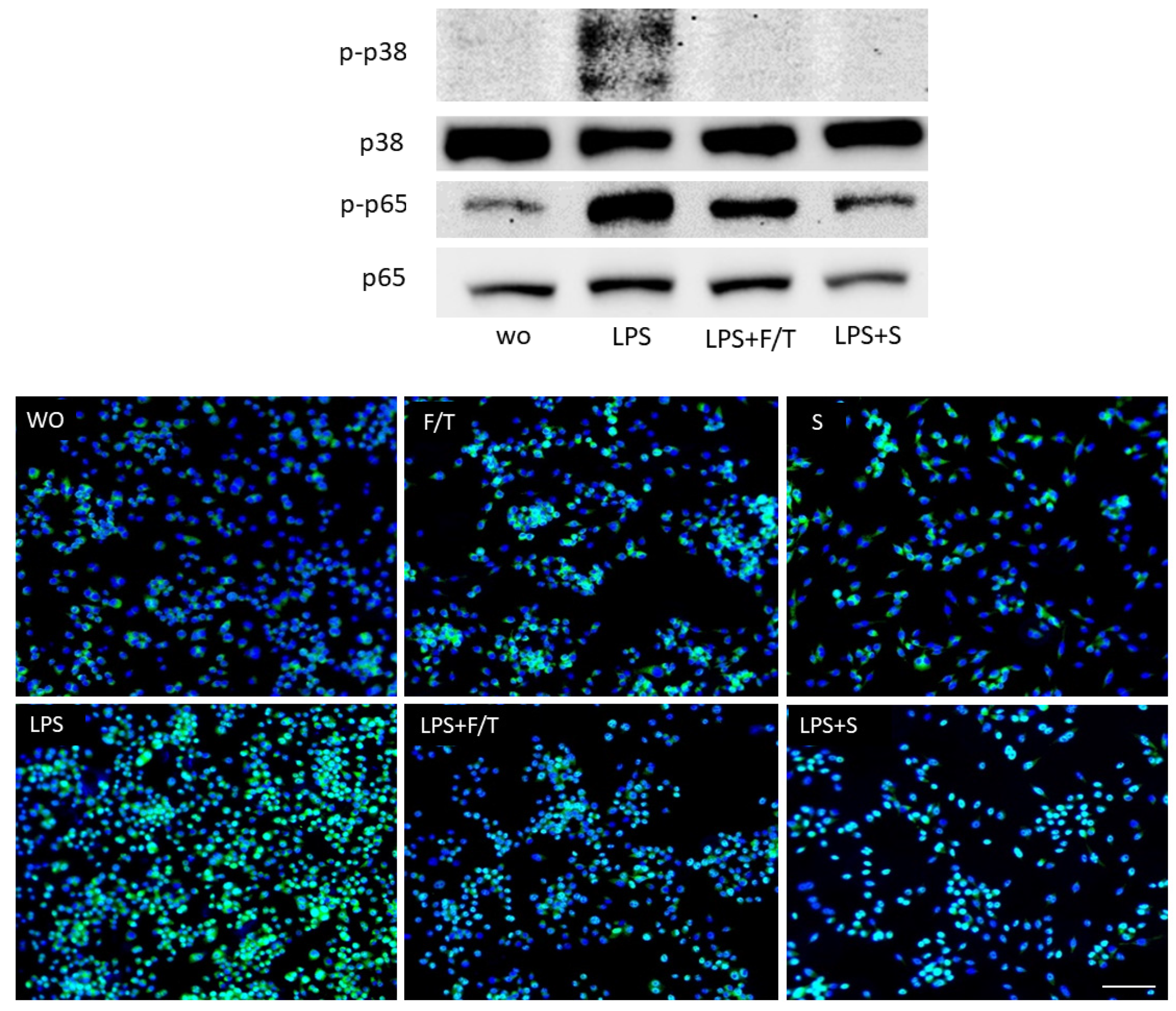 Jcm 11 04061 g002 550