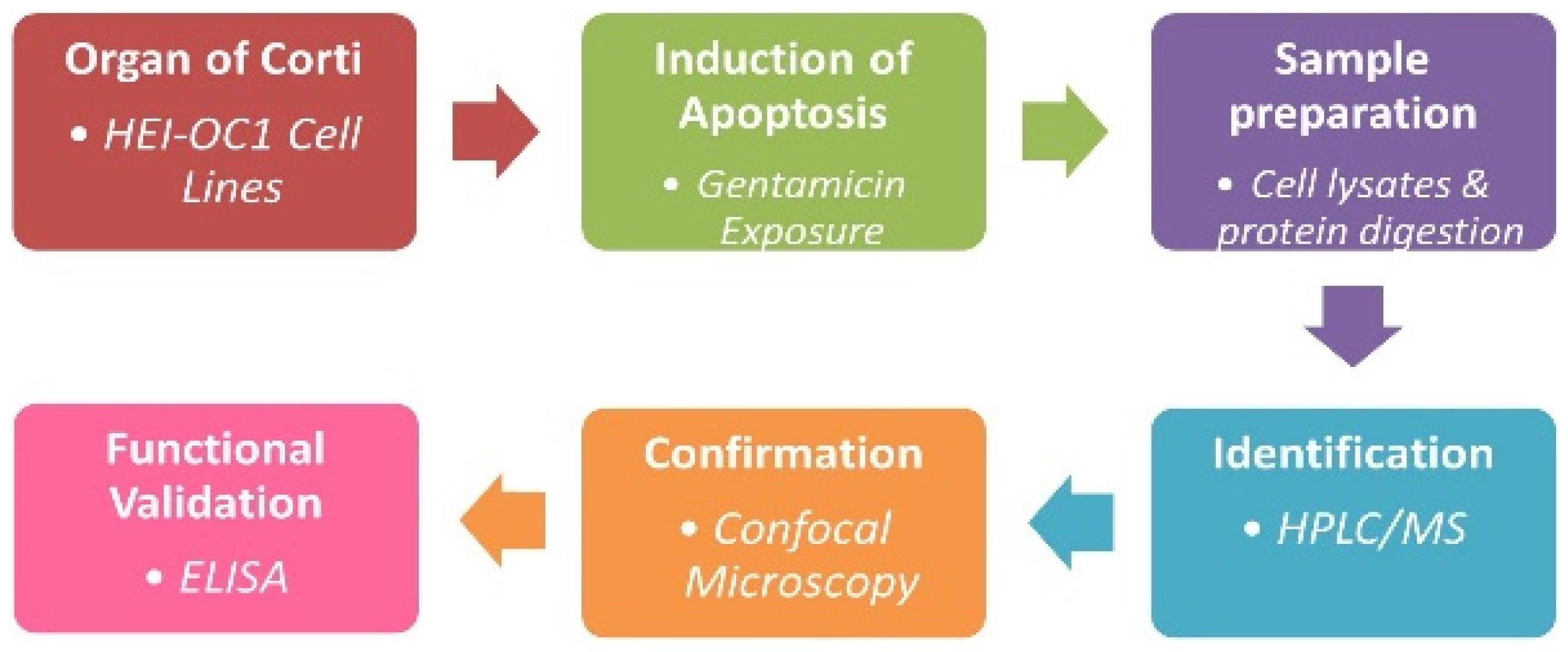 Jcm 11 04072 g001 Jcm 11 04072 g001