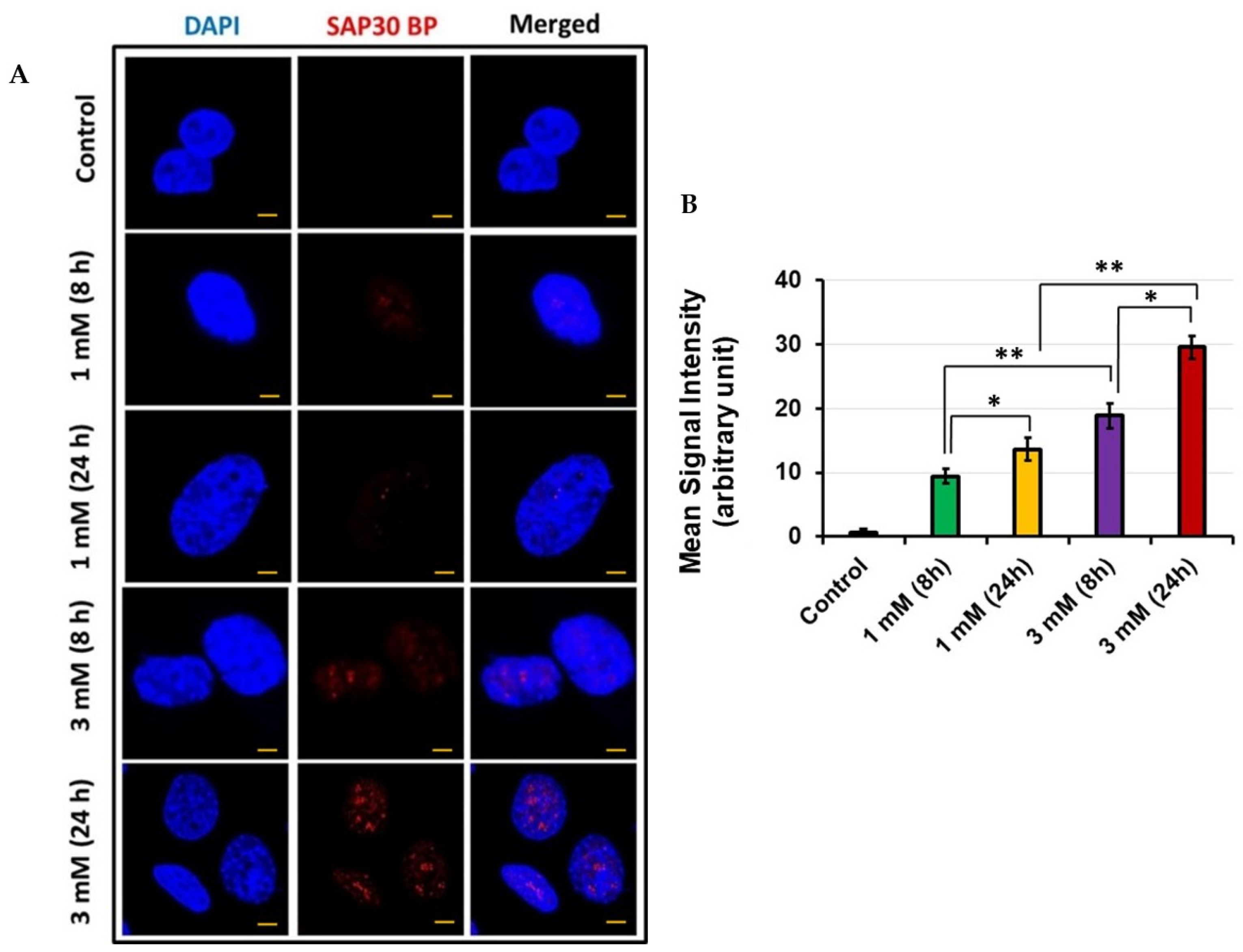 Jcm 11 04072 g003 Jcm 11 04072 g003
