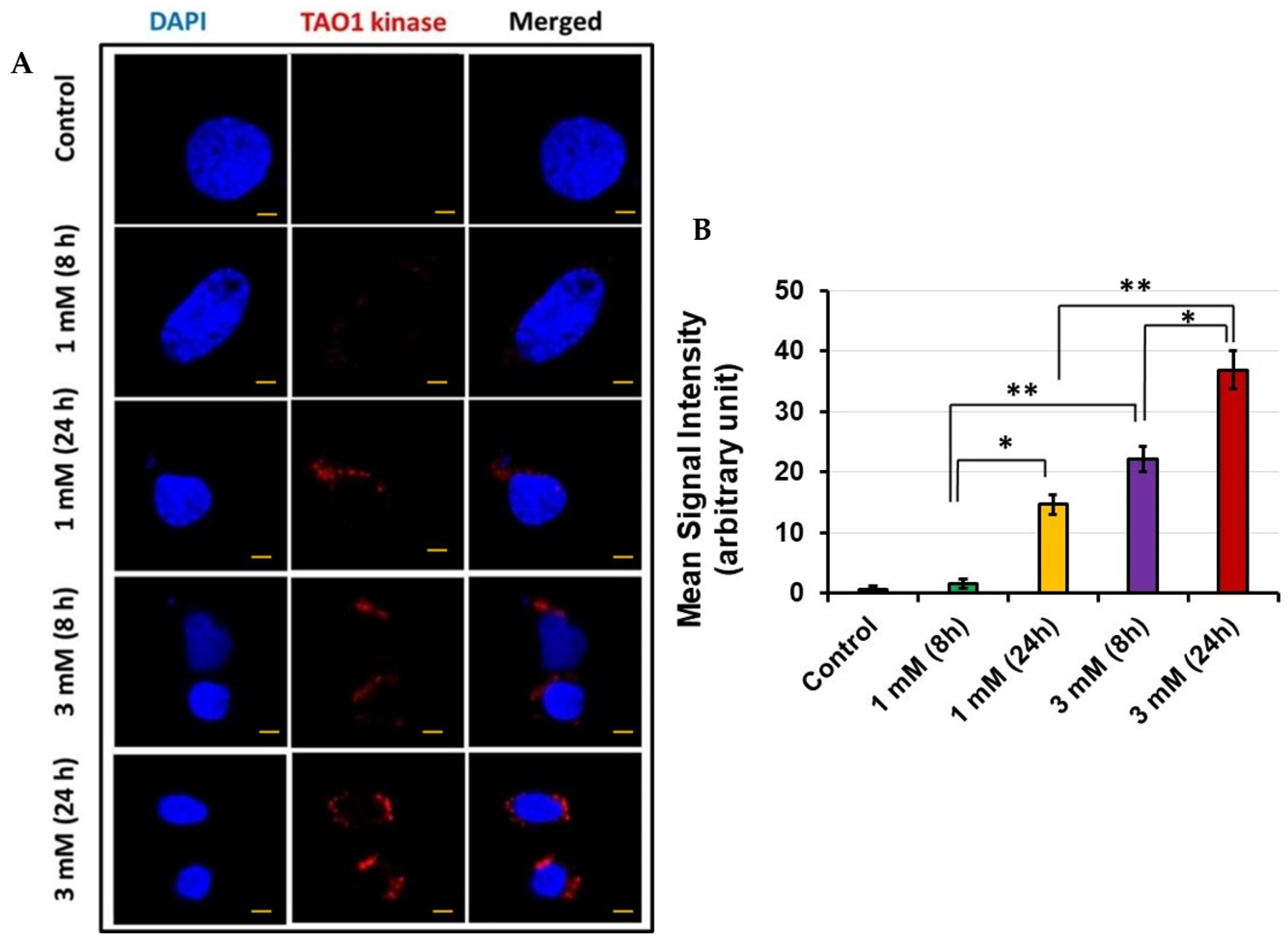 Jcm 11 04072 g004 Jcm 11 04072 g004