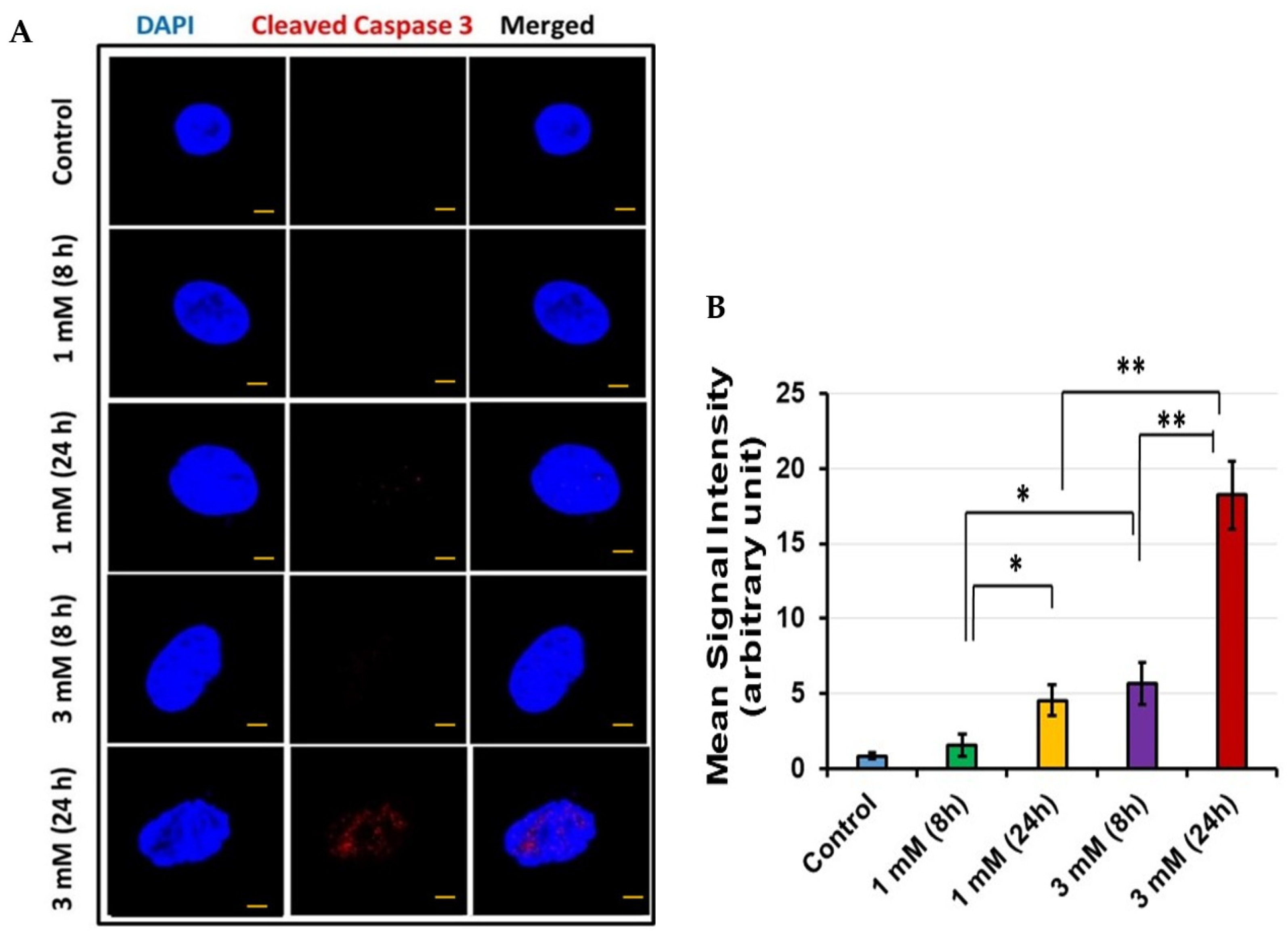Jcm 11 04072 g005 Jcm 11 04072 g005
