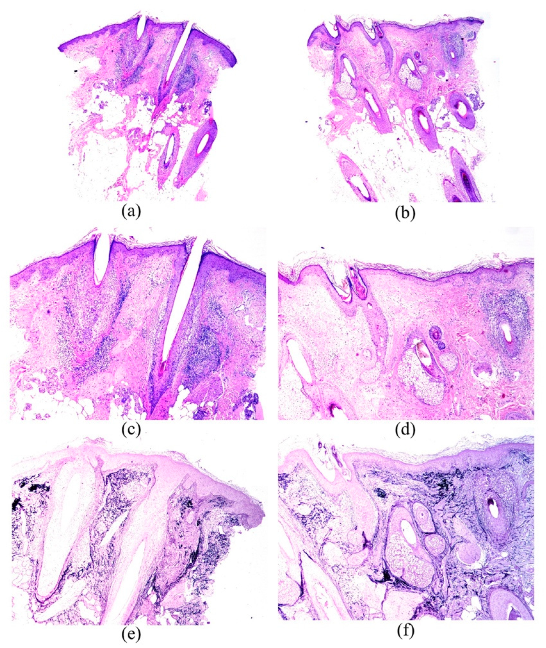 Jcm 11 04121 g001 Jcm 11 04121 g001