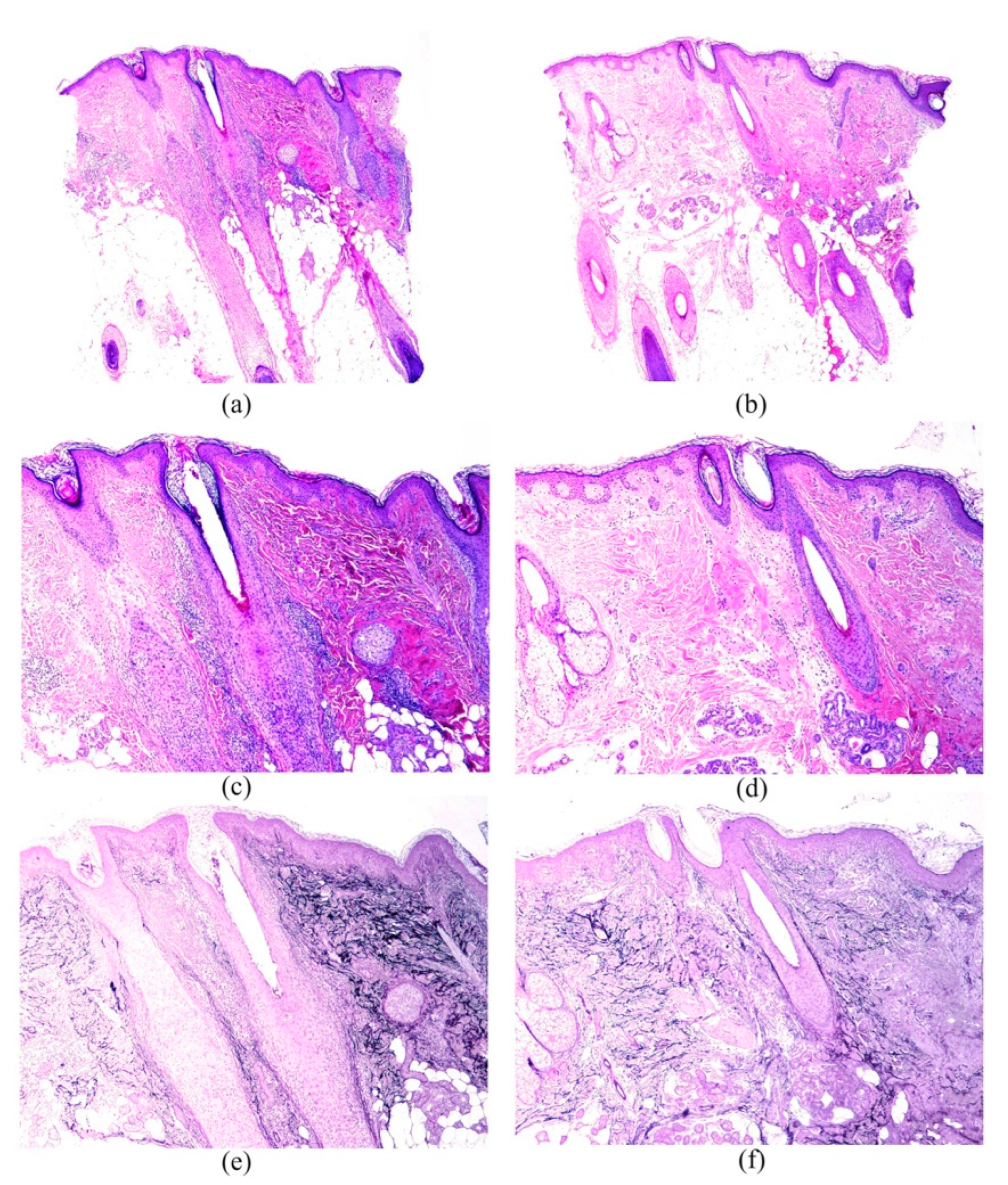 Jcm 11 04121 g002 Jcm 11 04121 g002