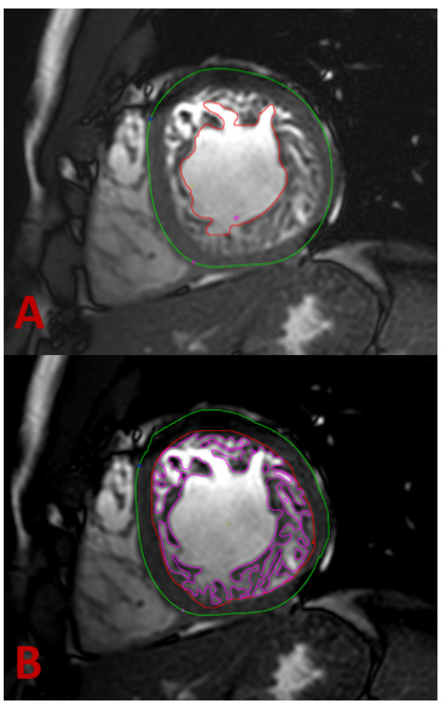 Jcm 11 04135 g005 Jcm 11 04135 g005