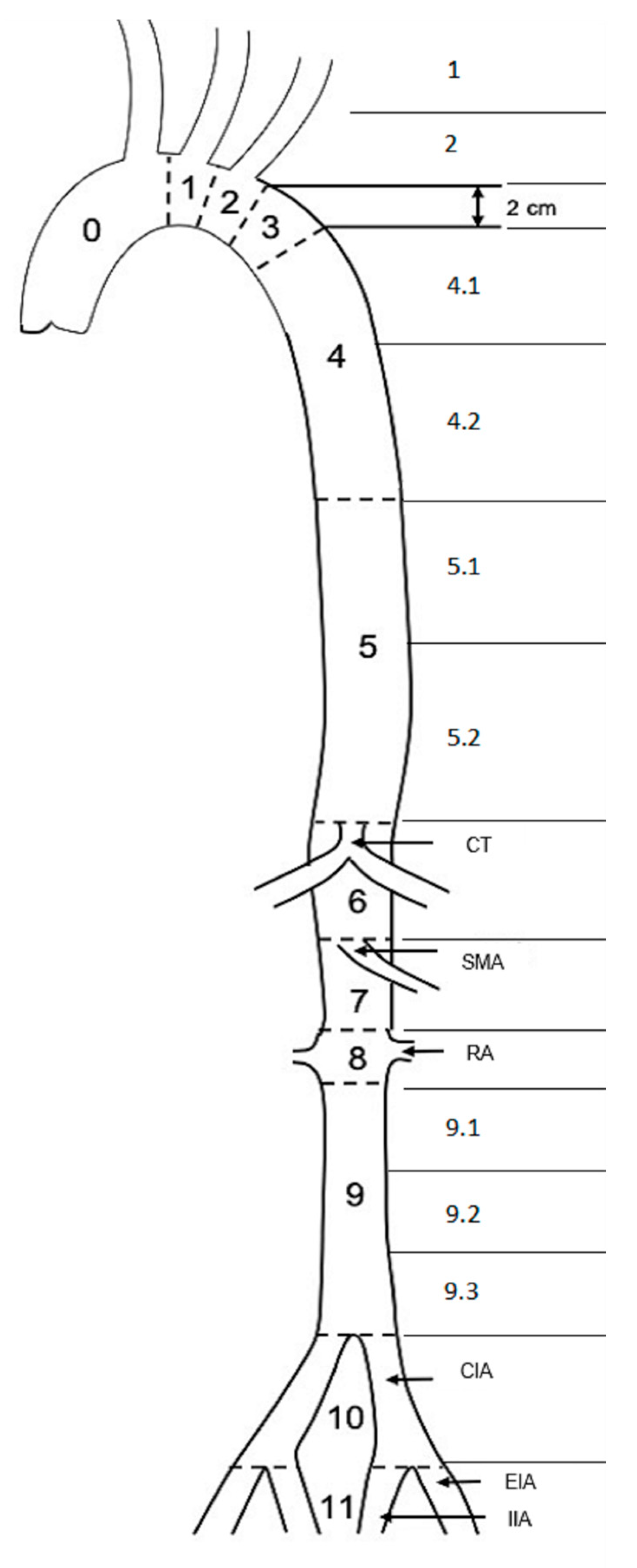 Jcm 11 04154 g001 Jcm 11 04154 g001