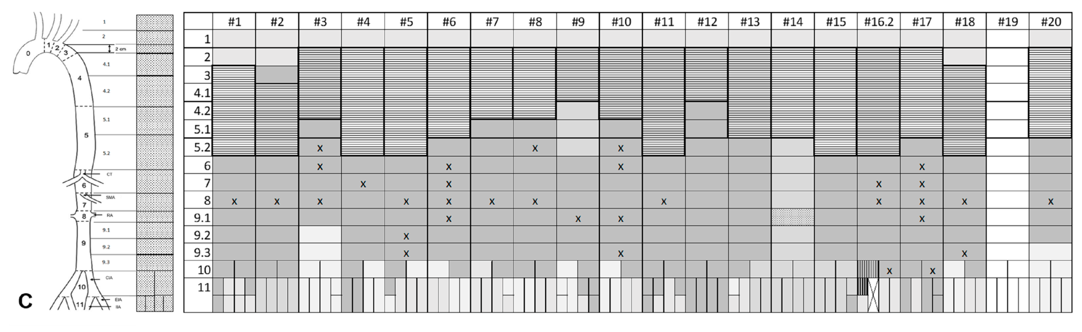 Jcm 11 04154 g003b Jcm 11 04154 g003b
