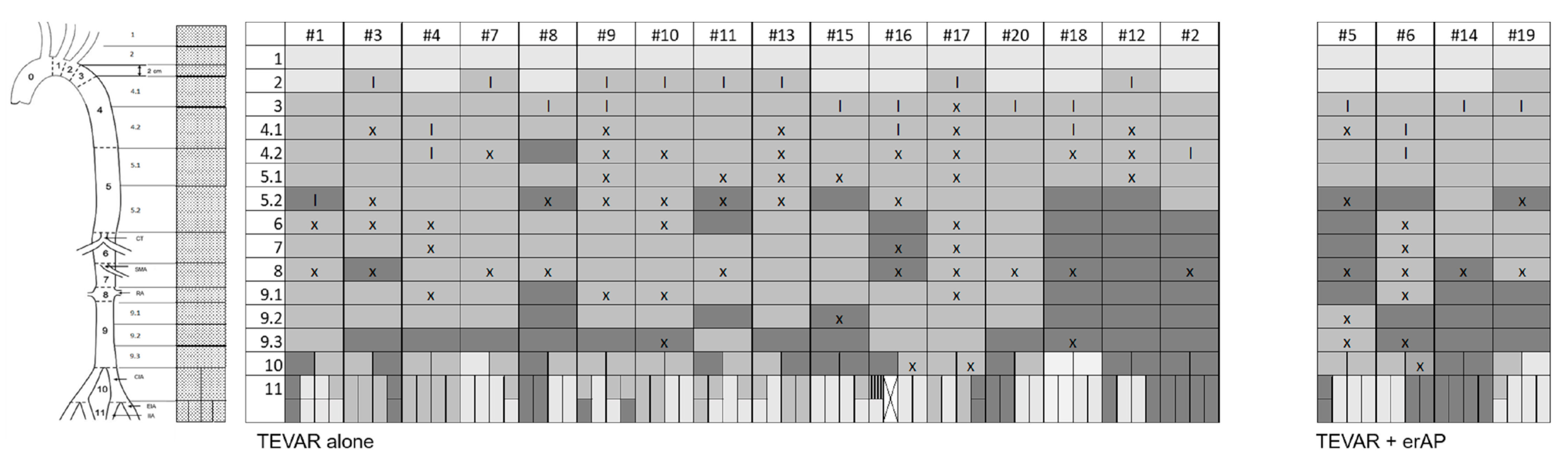 Jcm 11 04154 g005 Jcm 11 04154 g005