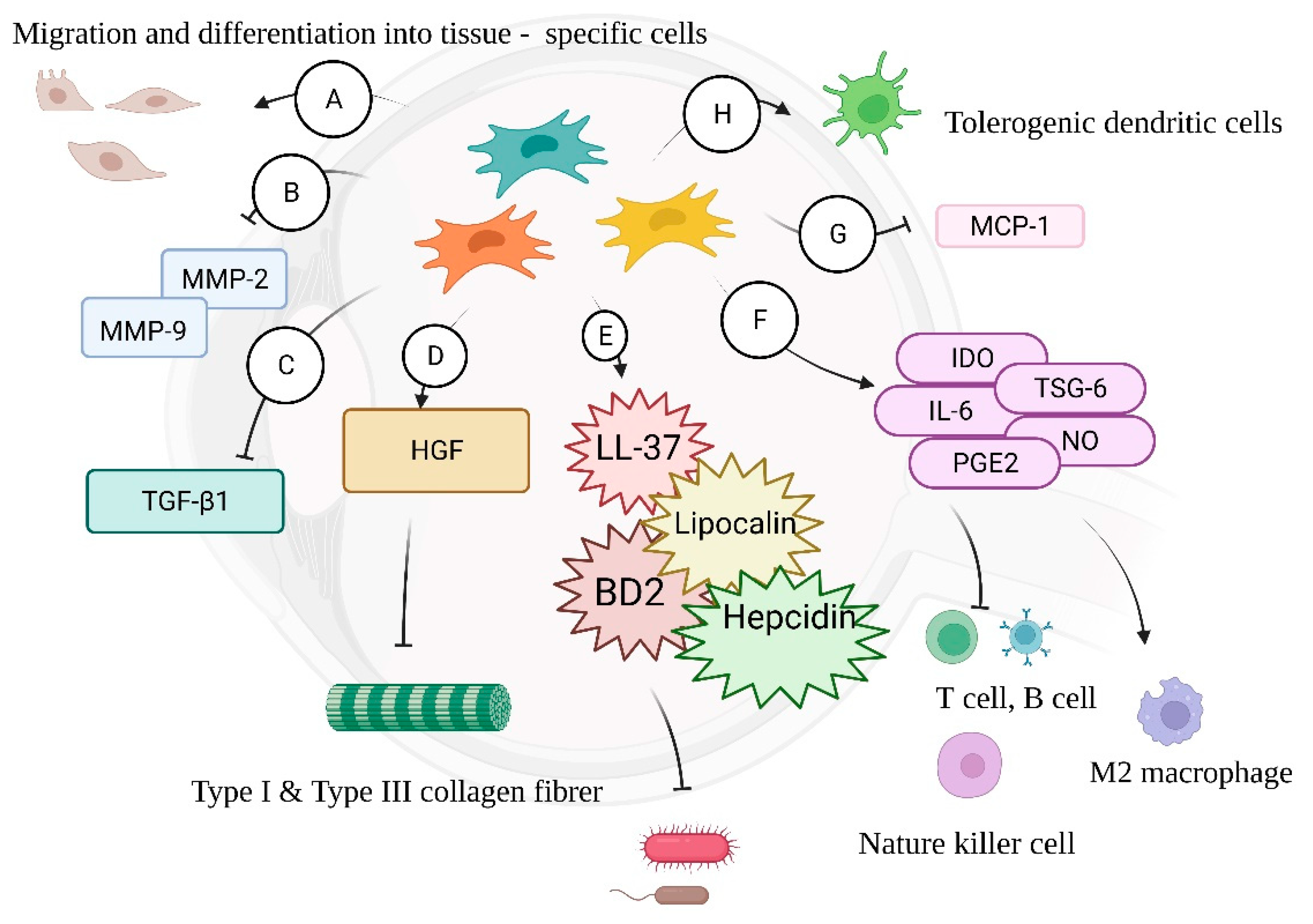 More than Antibiotics: Latest Therapeutics in the Treatment
