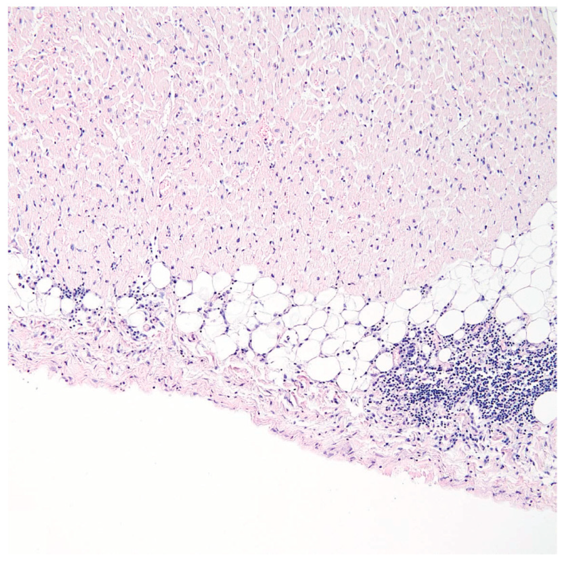 Jcm 11 04208 g002 550