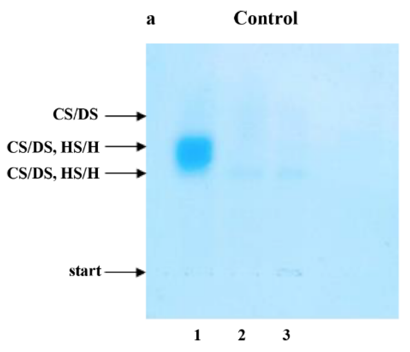 Jcm 11 04213 g001a Jcm 11 04213 g001a