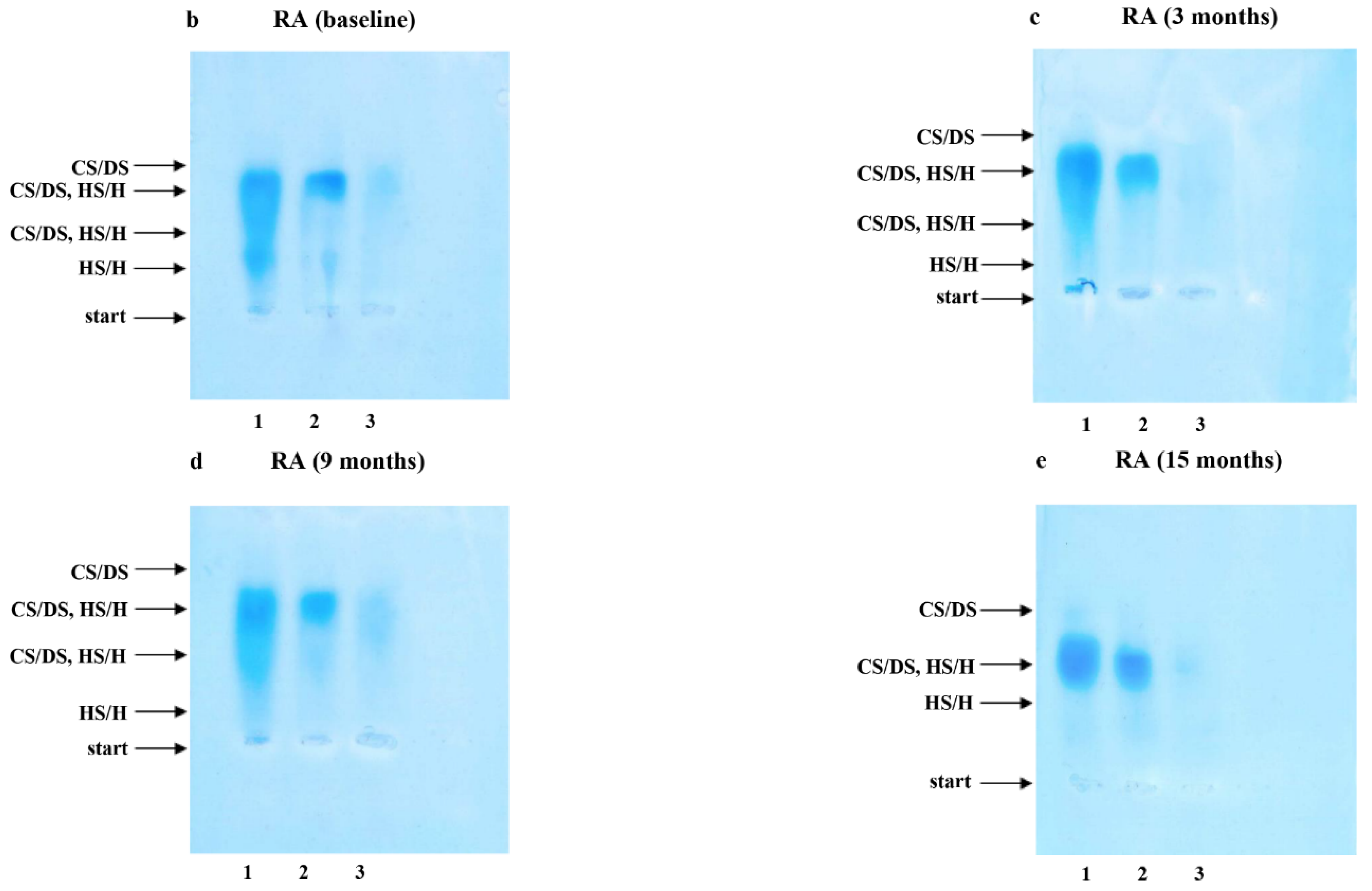 Jcm 11 04213 g001b Jcm 11 04213 g001b