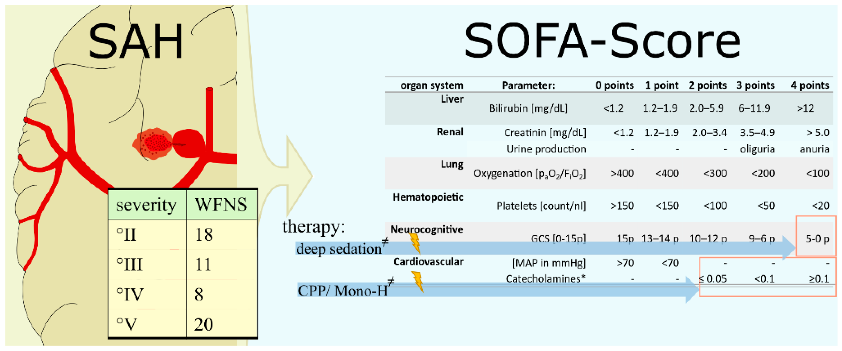 Jcm 11 04229 g002 550