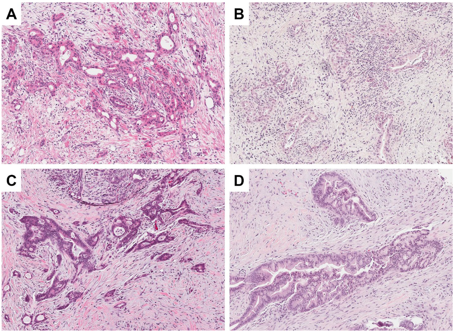 Jcm 11 04241 g001 550