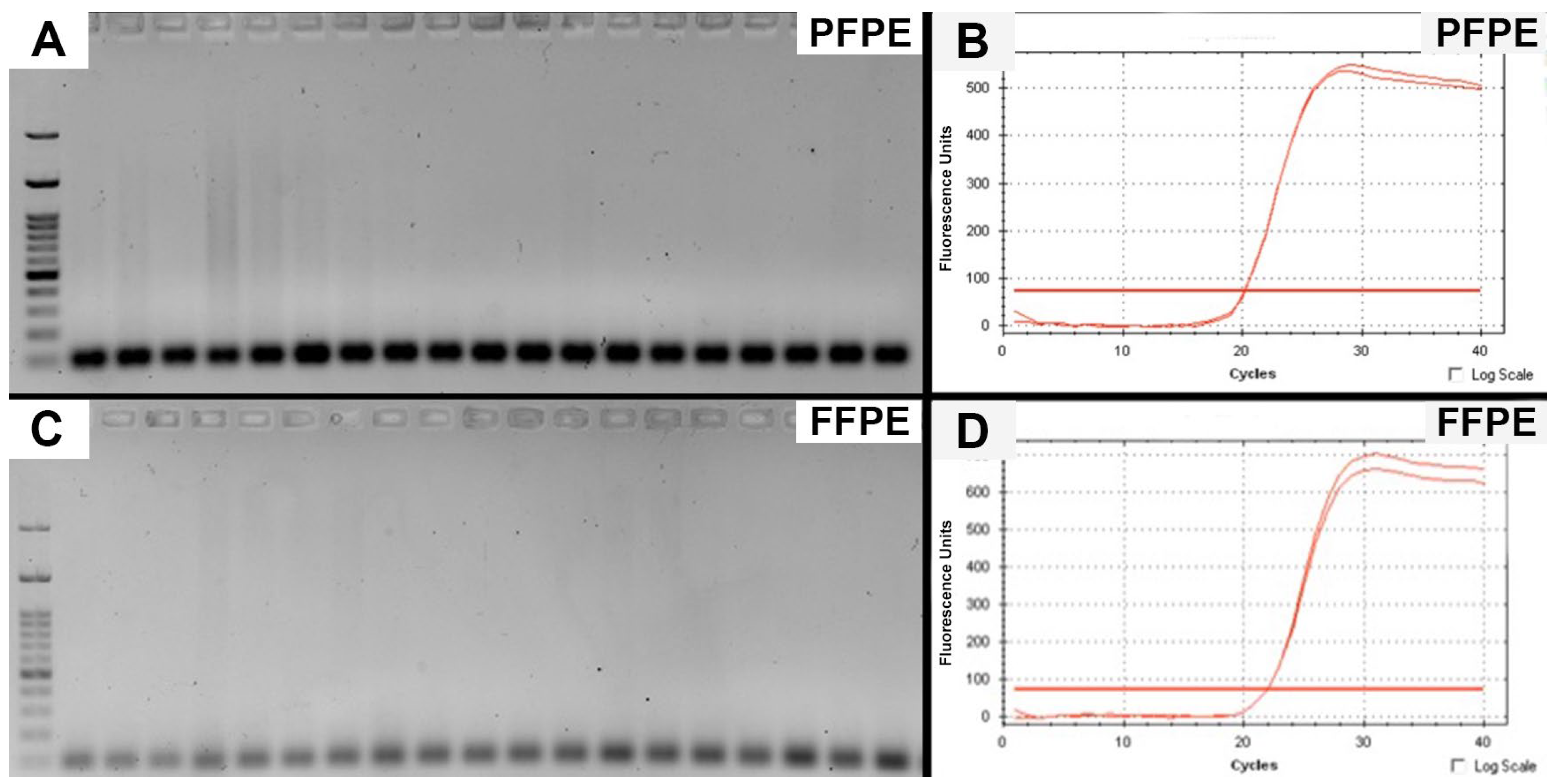 Jcm 11 04241 g002 550