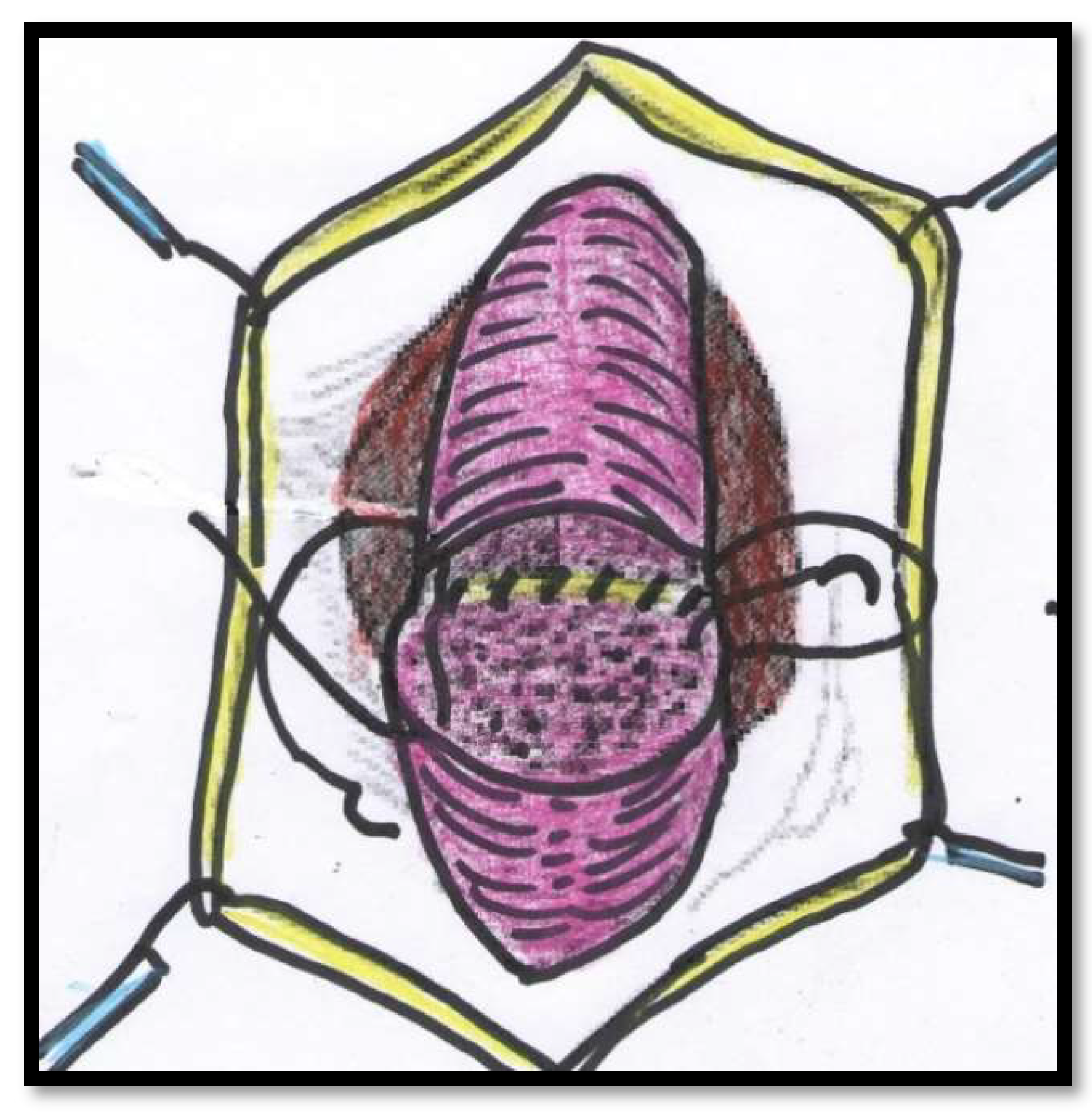 Jcm 11 04252 g002 550