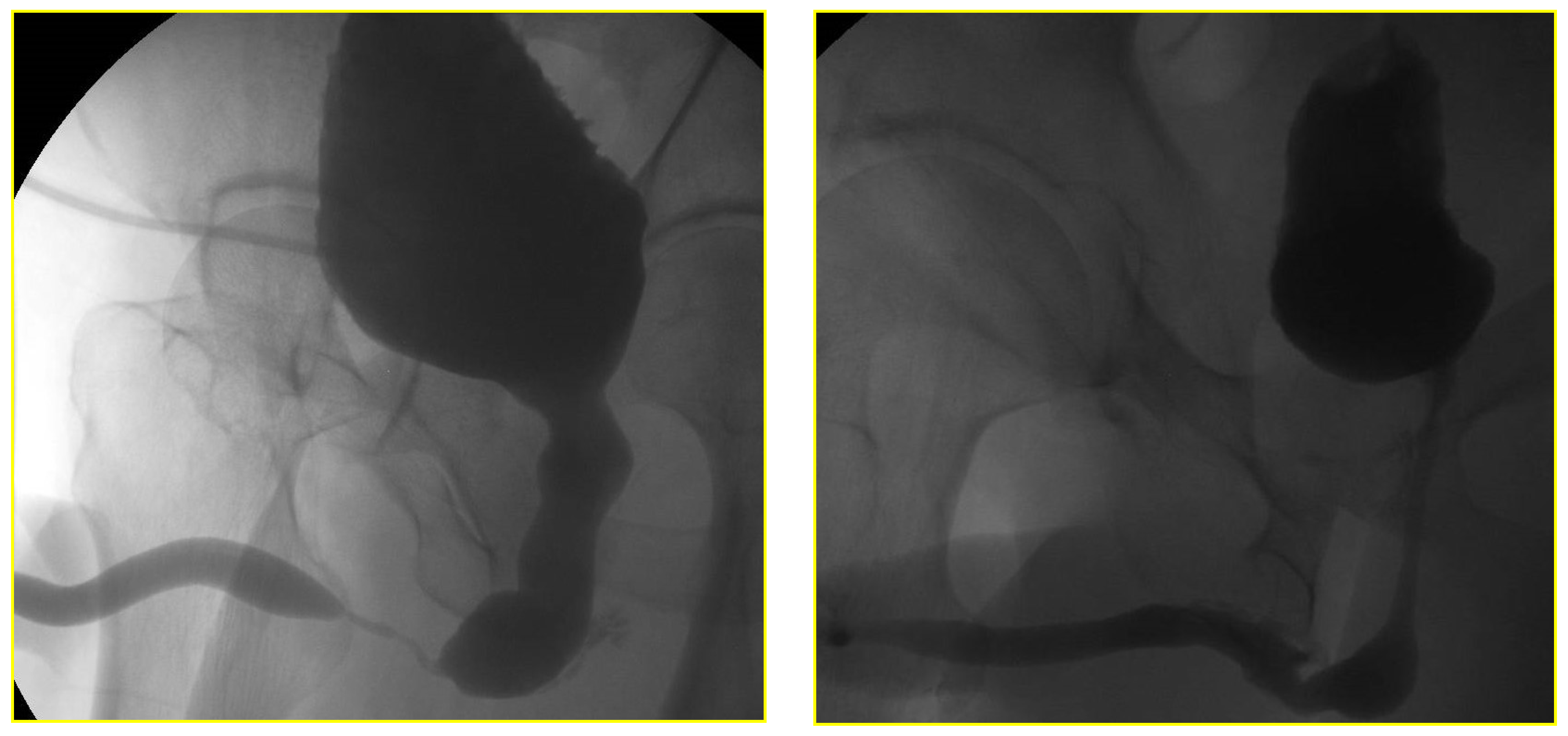 Jcm 11 04252 g004 550