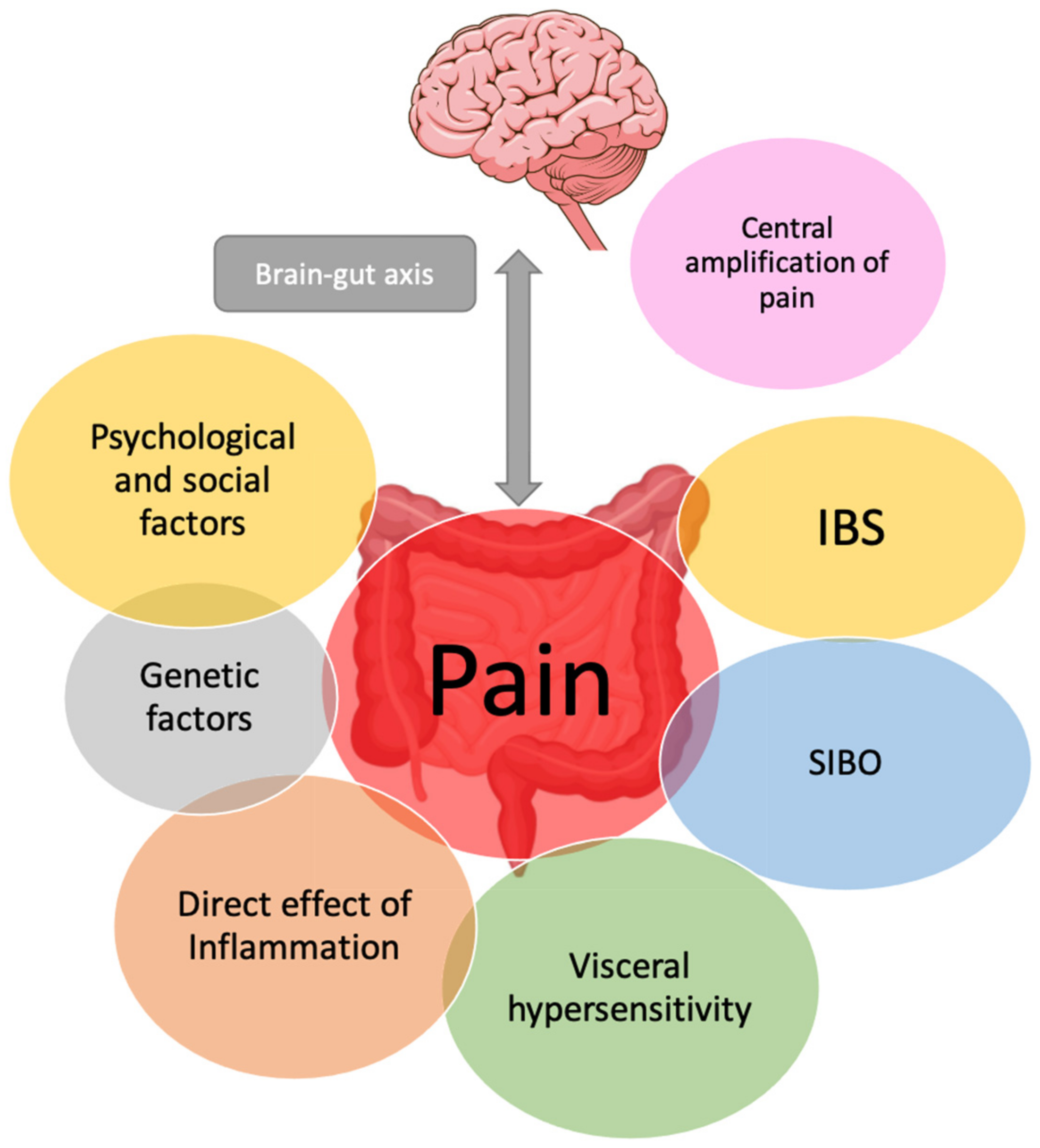 Abdomen Lower Pain Stock Illustrations – 154 Abdomen Lower Pain