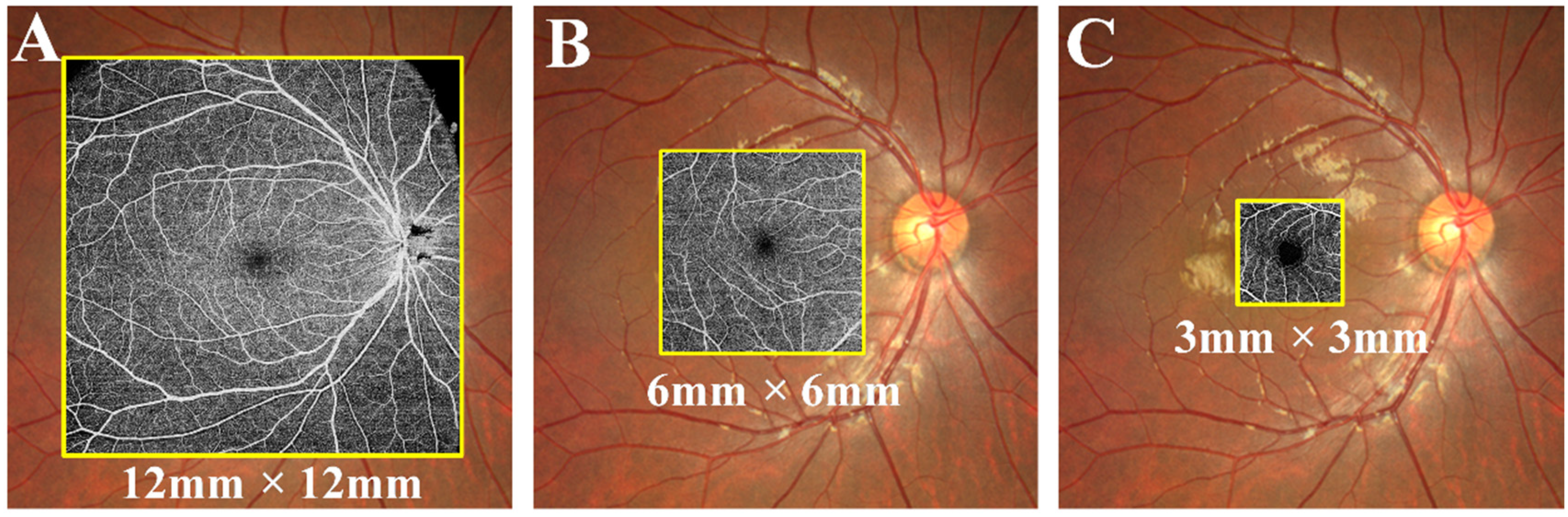 Jcm 11 04332 g001 550