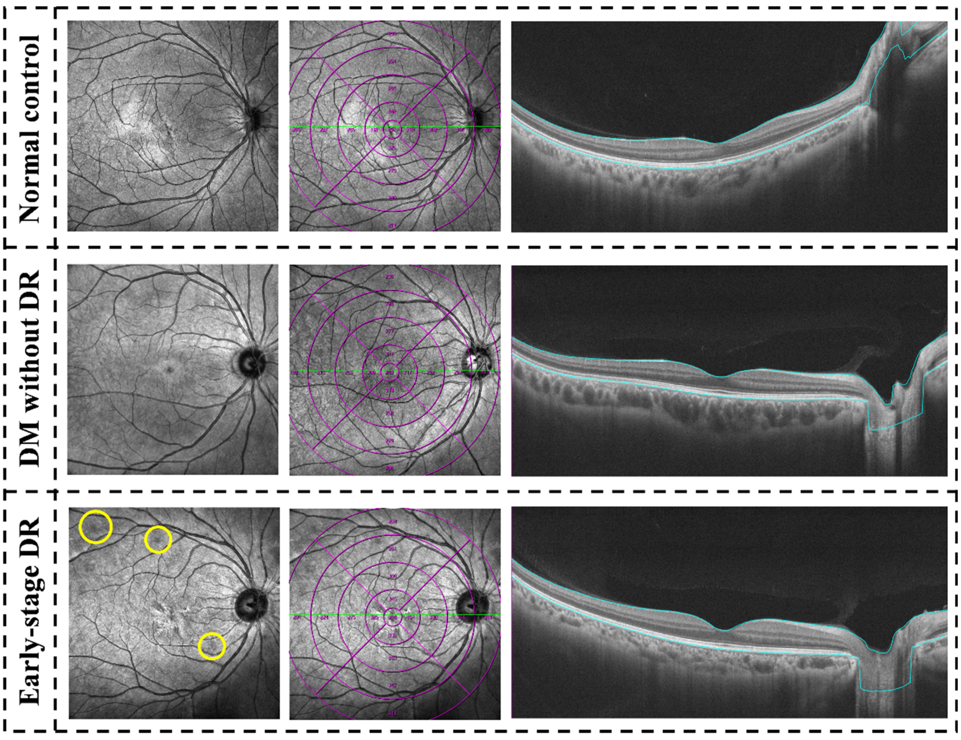 Jcm 11 04332 g003 550