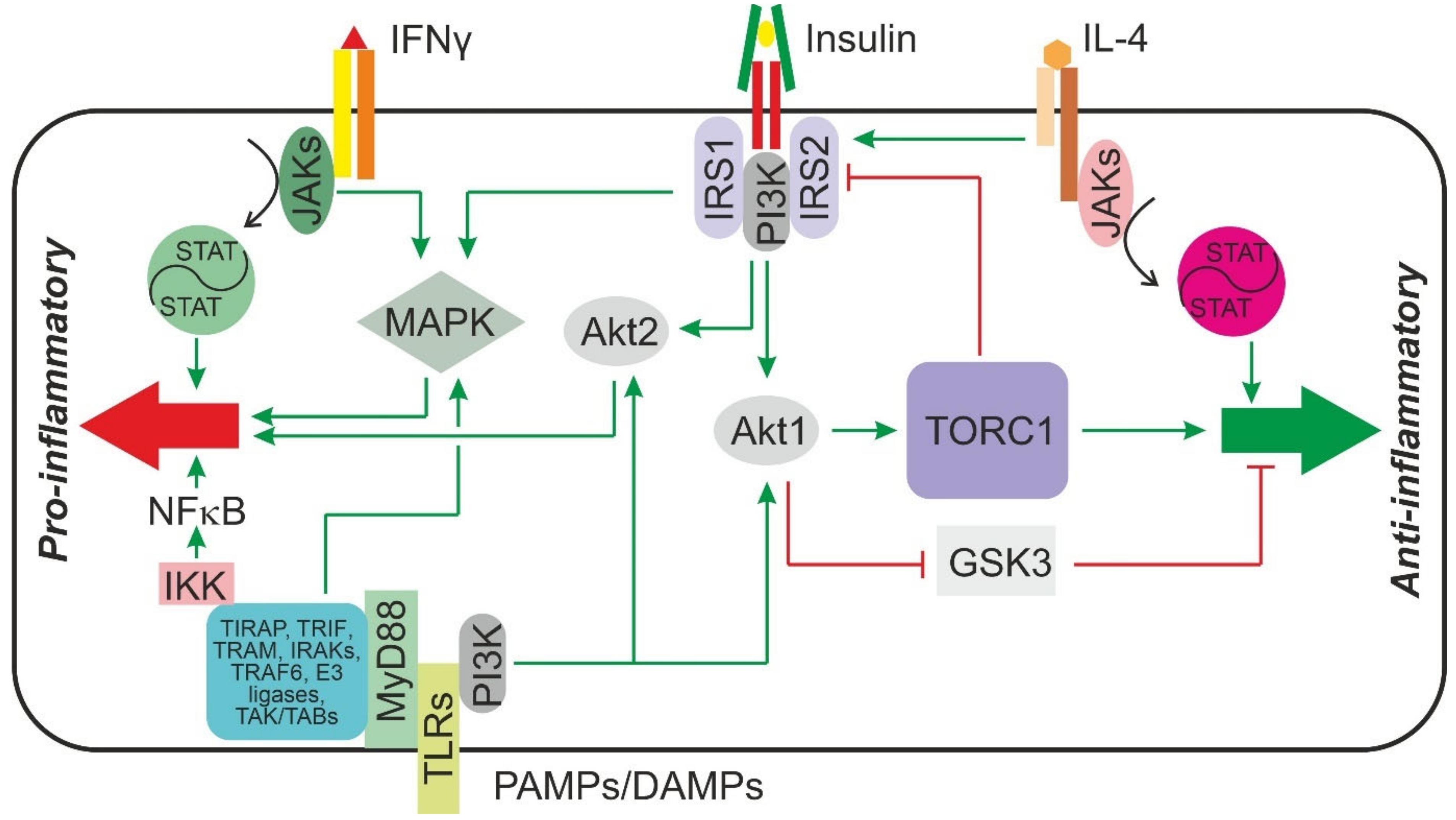 Jcm 11 04358 g001 Jcm 11 04358 g001