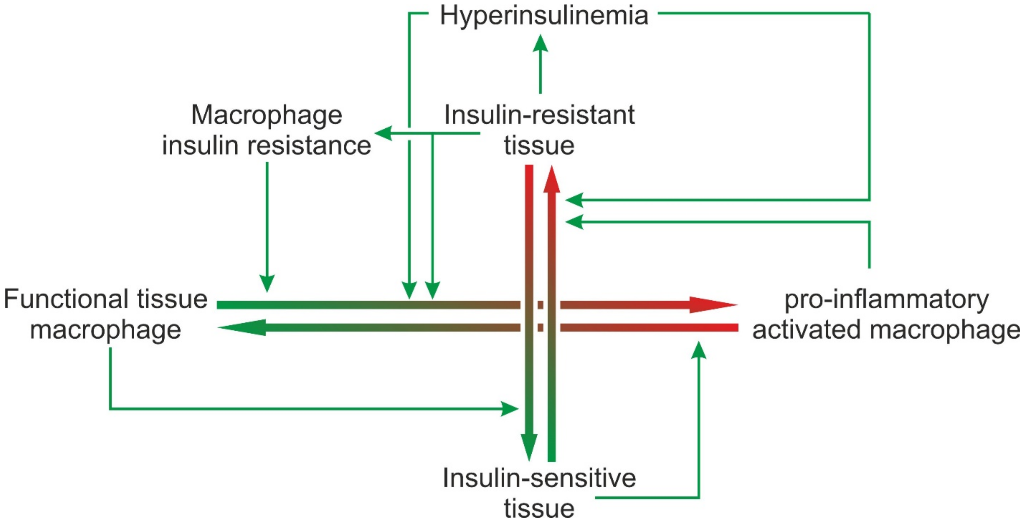 Jcm 11 04358 g003 Jcm 11 04358 g003