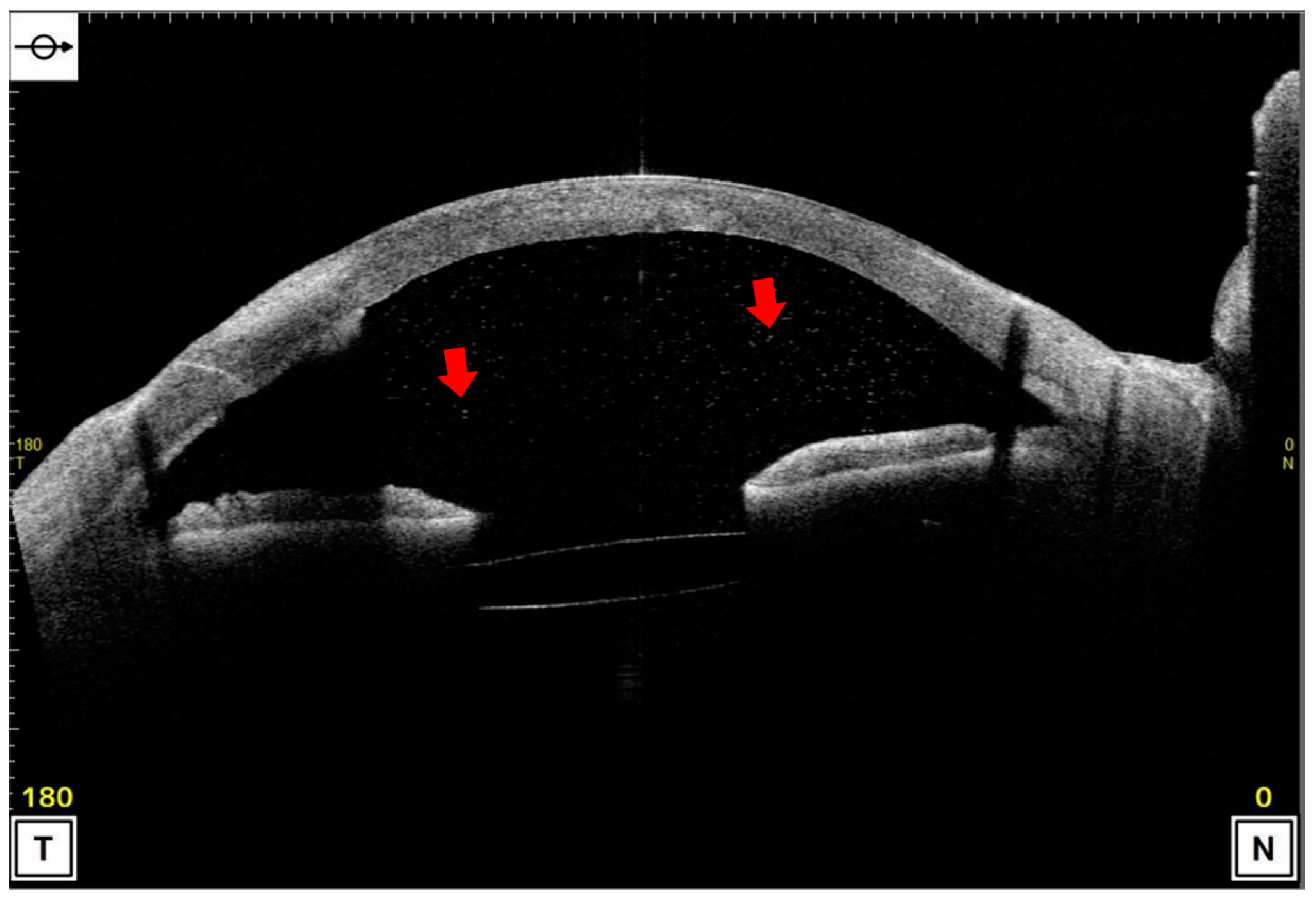 Jcm 11 04379 g001 Jcm 11 04379 g001